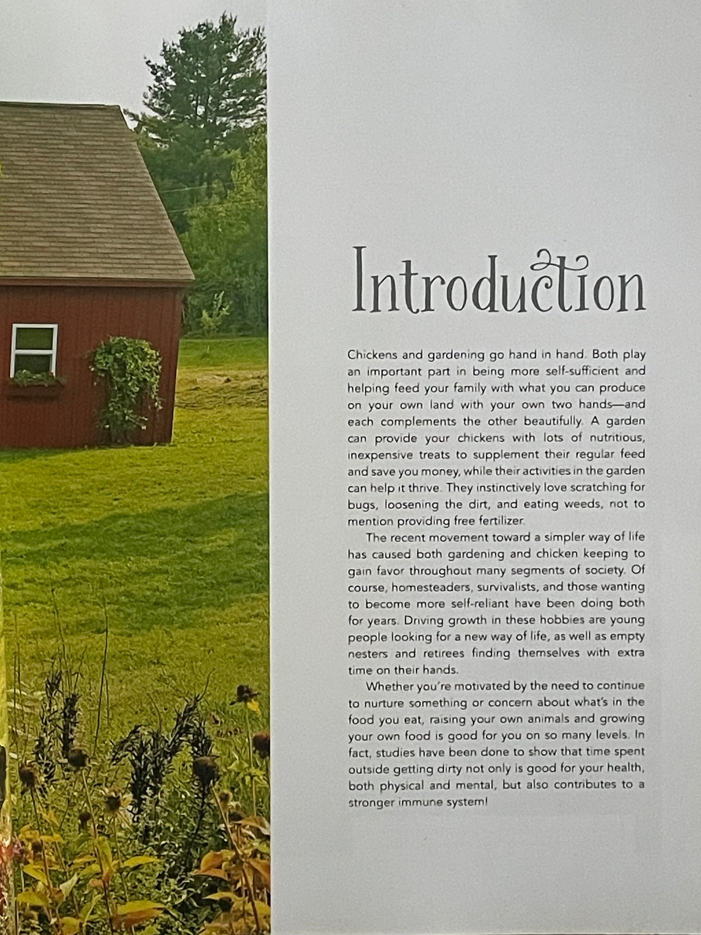 Gardening with Chickens by Lisa Steele