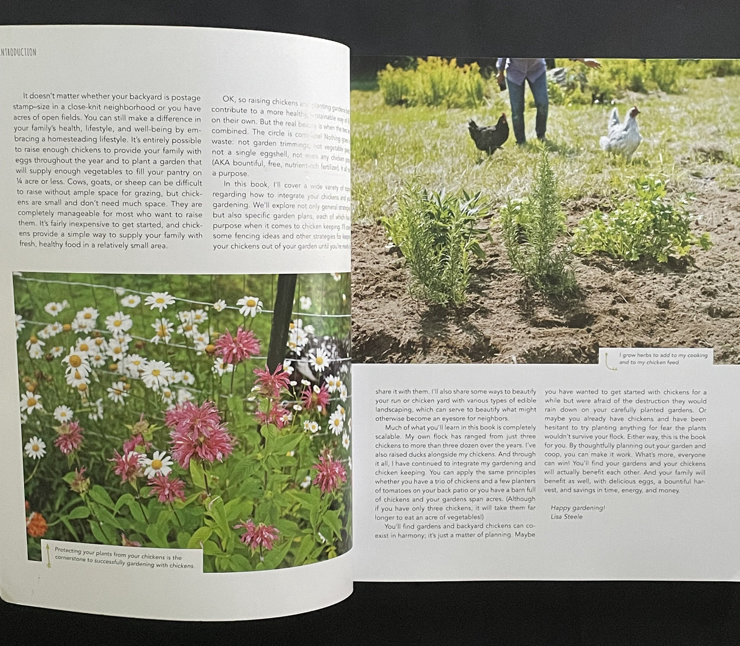 Gardening with Chickens by Lisa Steele