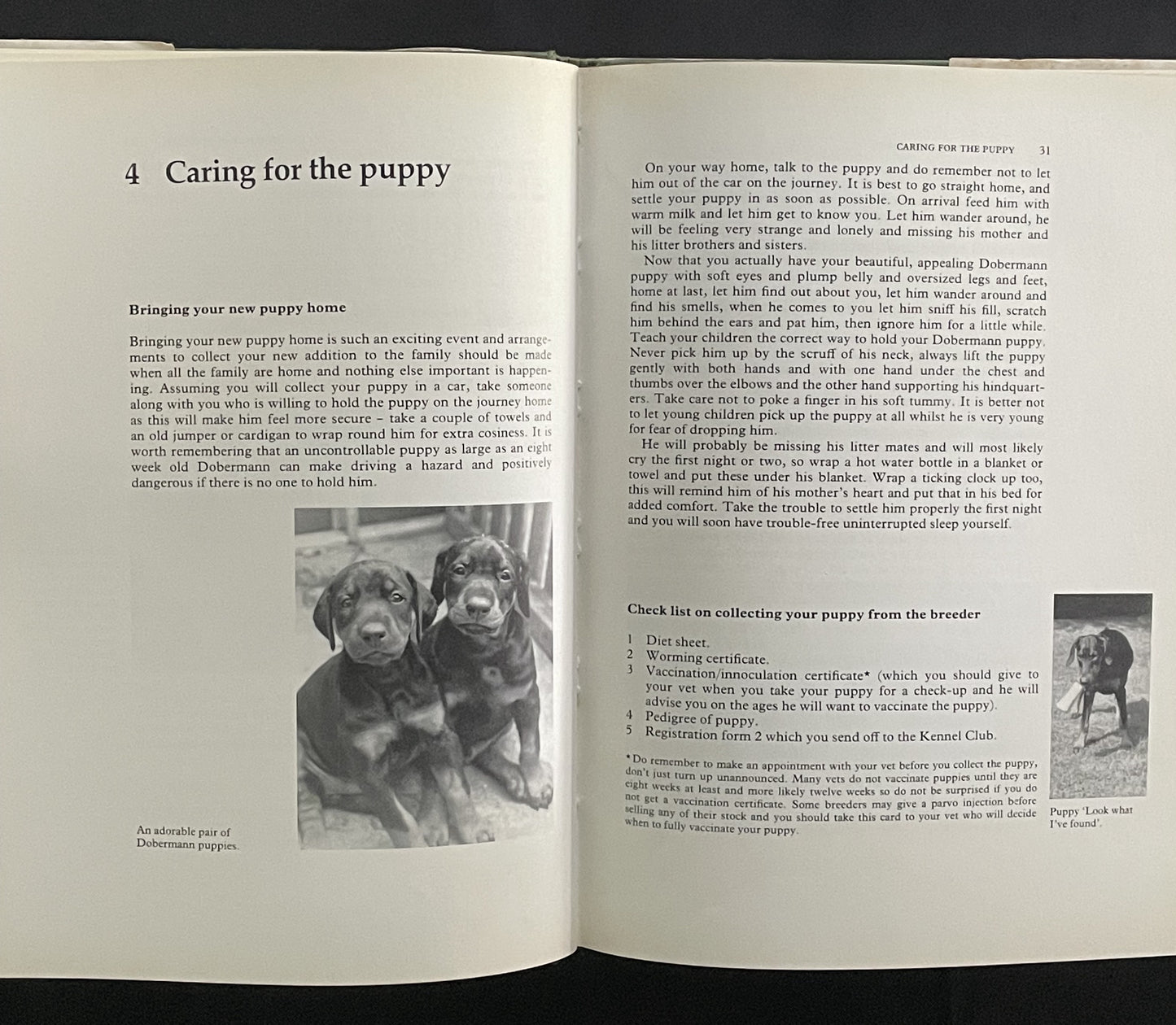 All about the Dobermann by Jan Irven