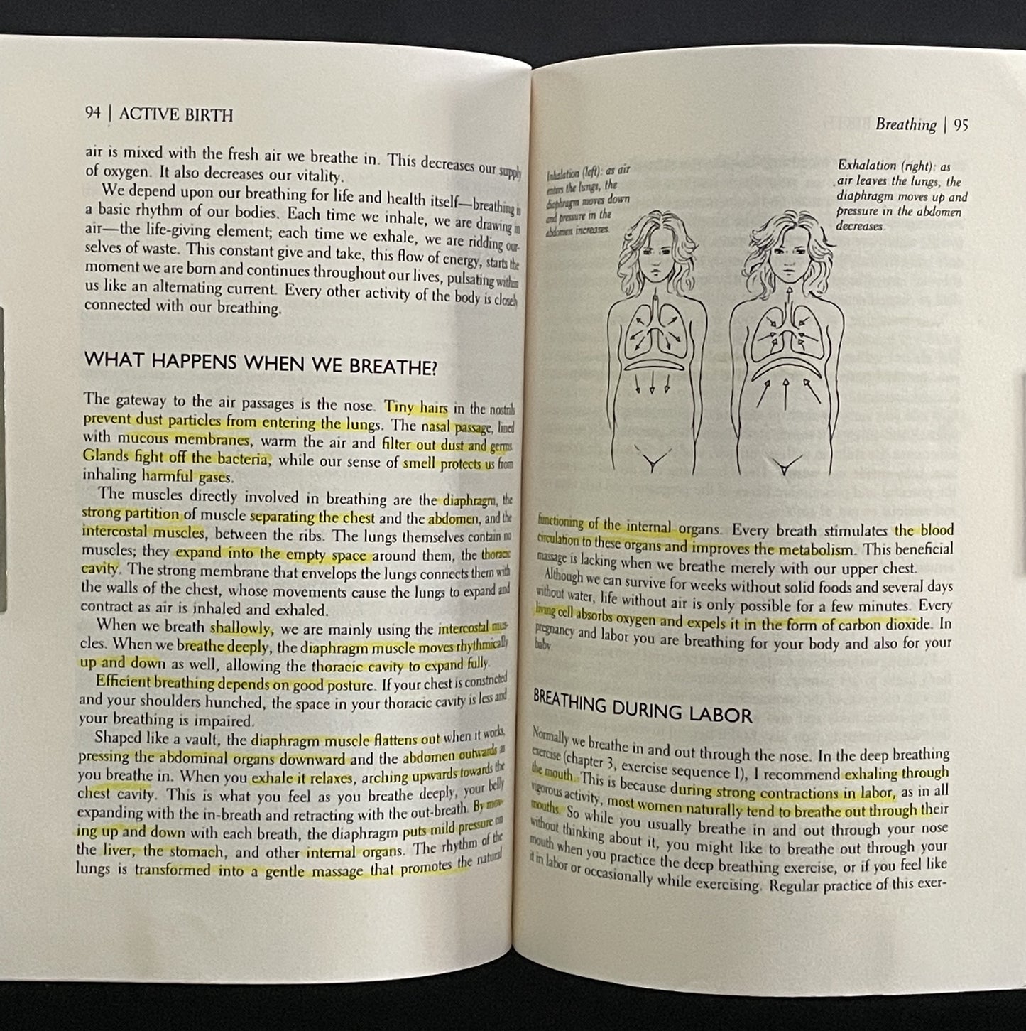 Active Birth - Revised Edition by Janet Balaskas
