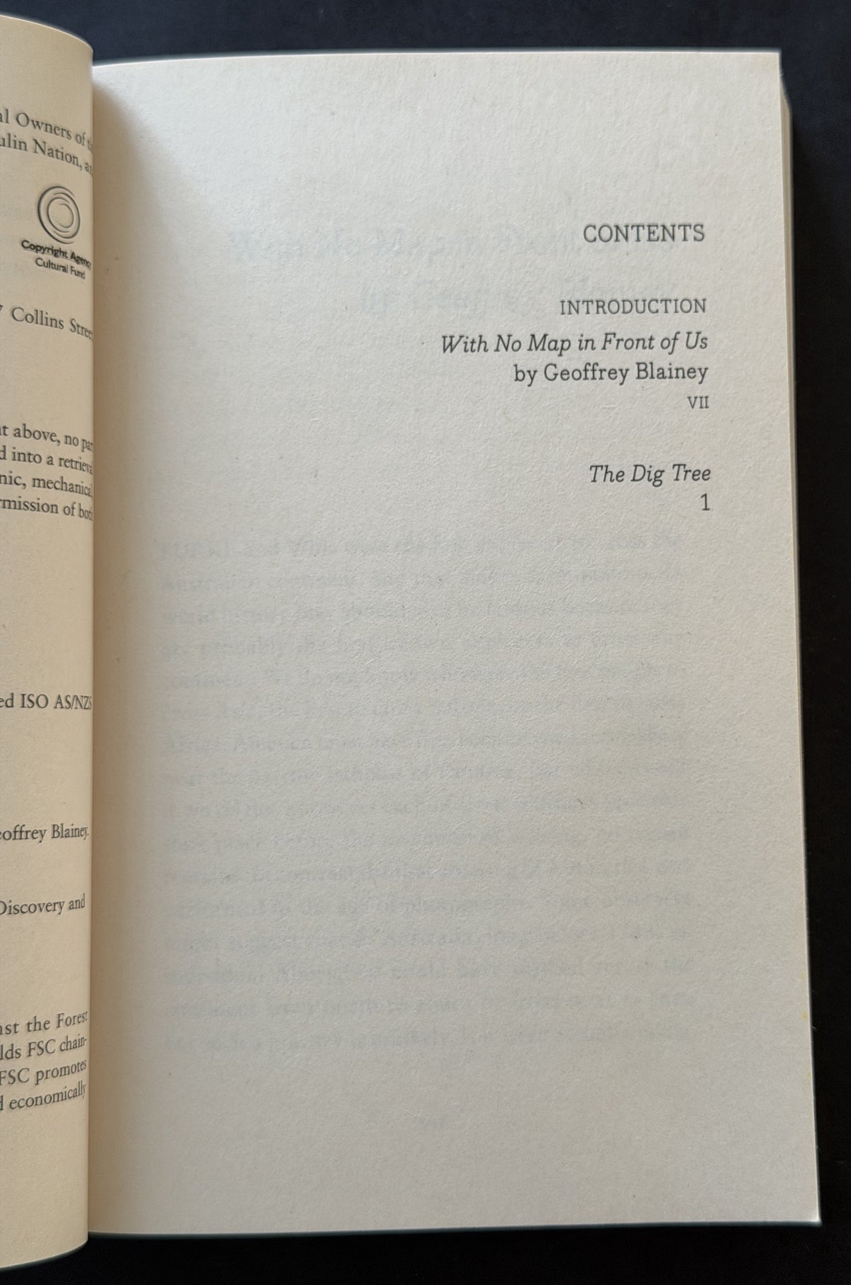 Dig Tree by Sarah Murgatroyd