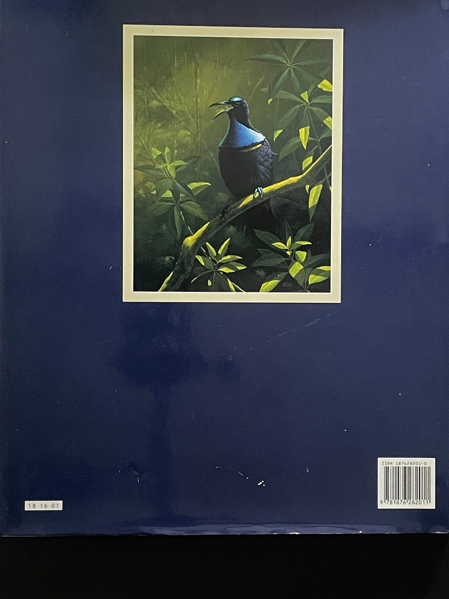 Australian Birds by Peter Slater