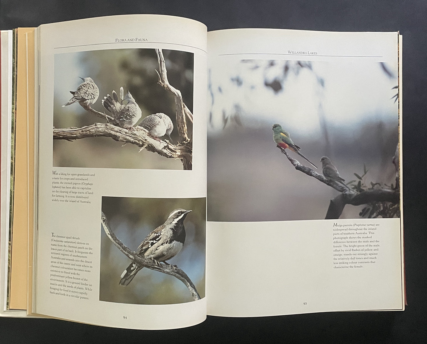 Australia's Wilderness Heritage: Flora and fauna by Leo Meier