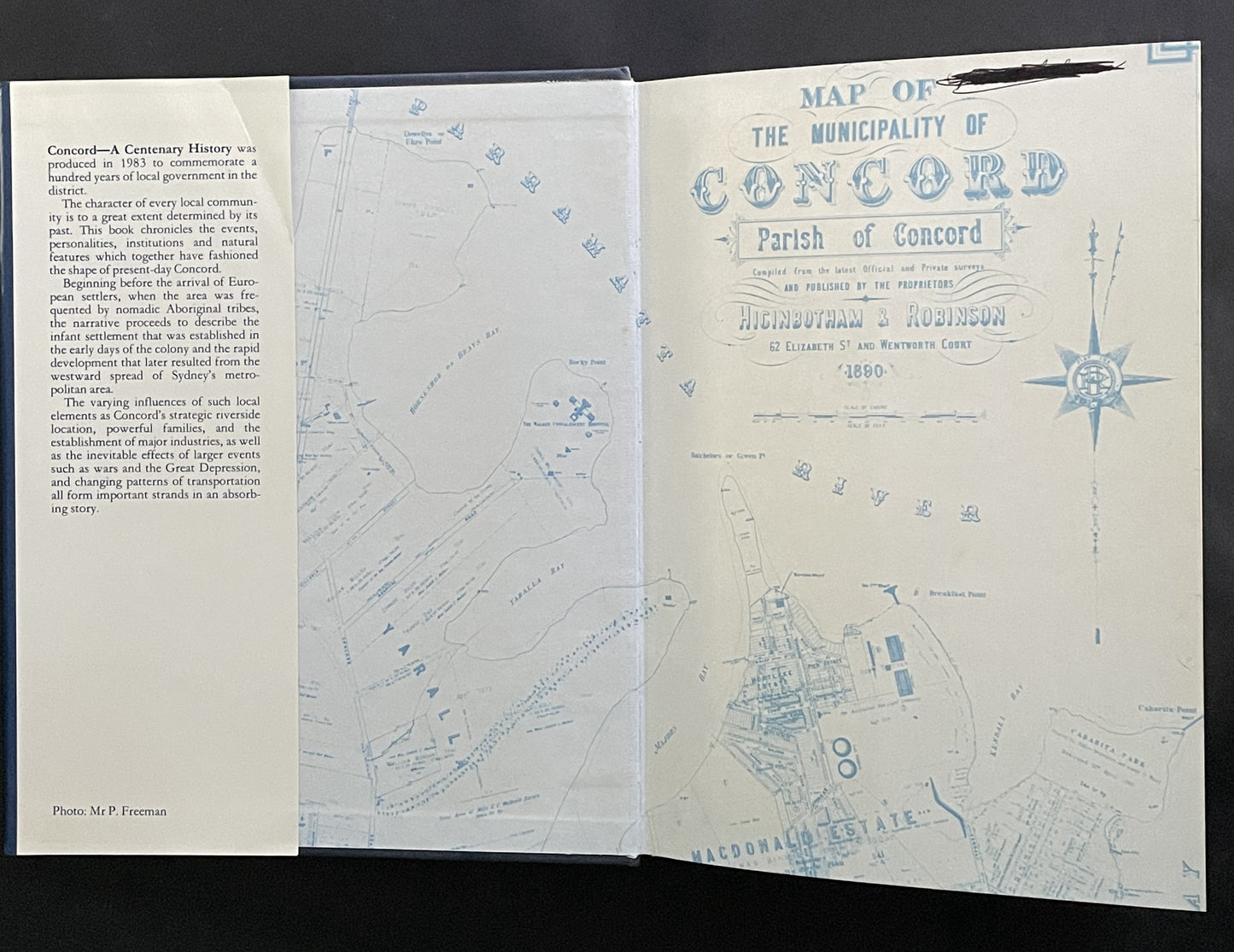 Concord by Sheena Coupe