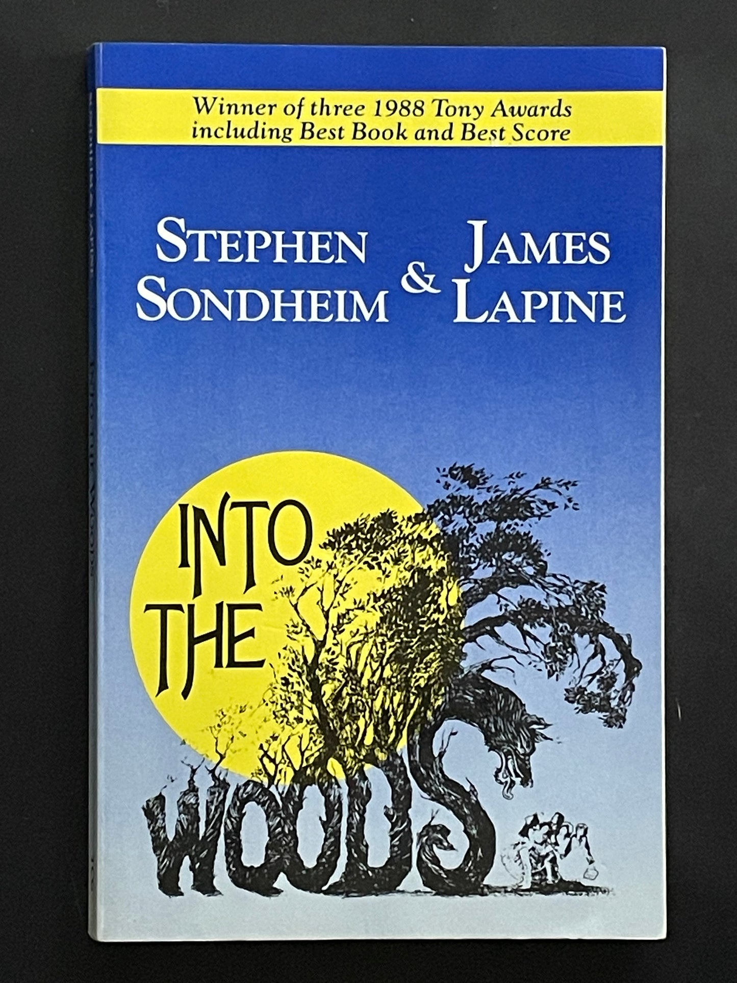 Into the Woods by Stephen Sondheim, James Lapine