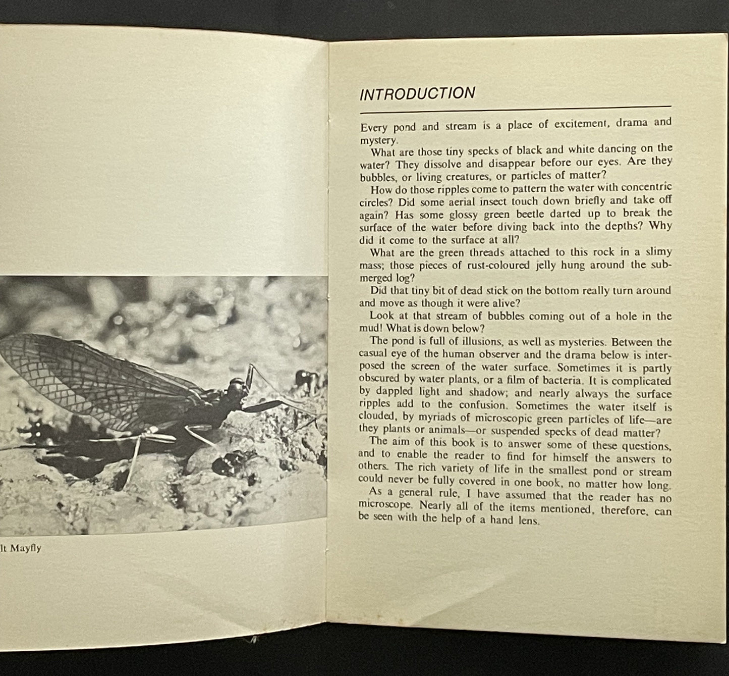 AUSTRALIAN POND and STREAM LIFE by John Child