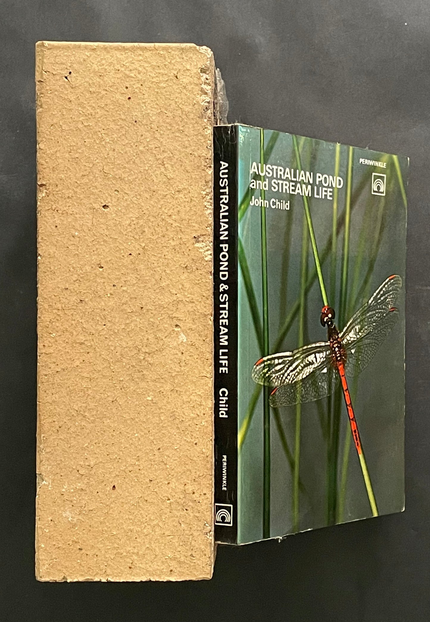 AUSTRALIAN POND and STREAM LIFE by John Child