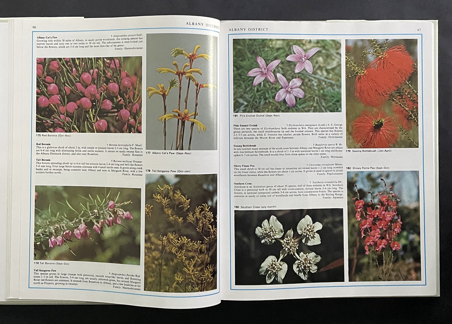 Flowers & Plants of Western Australia by Rica Erickson