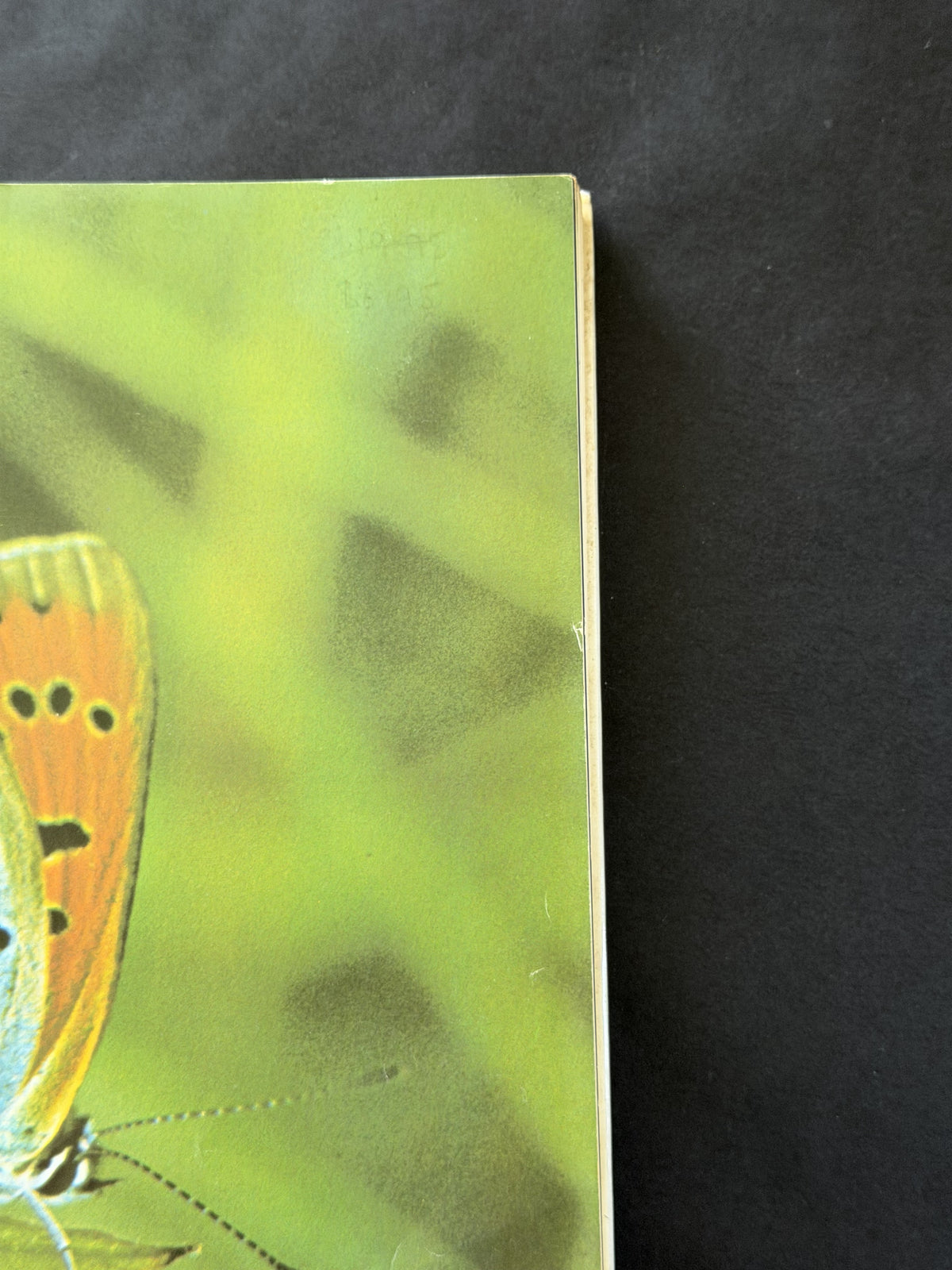 The illustrated encyclopedia of the butterfly world (A Salamander book)