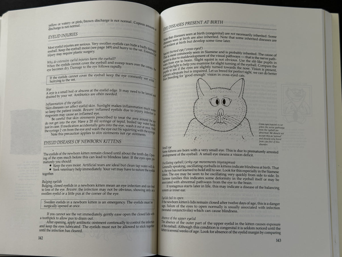Everycat by Eric Allan, Lynda Bonning