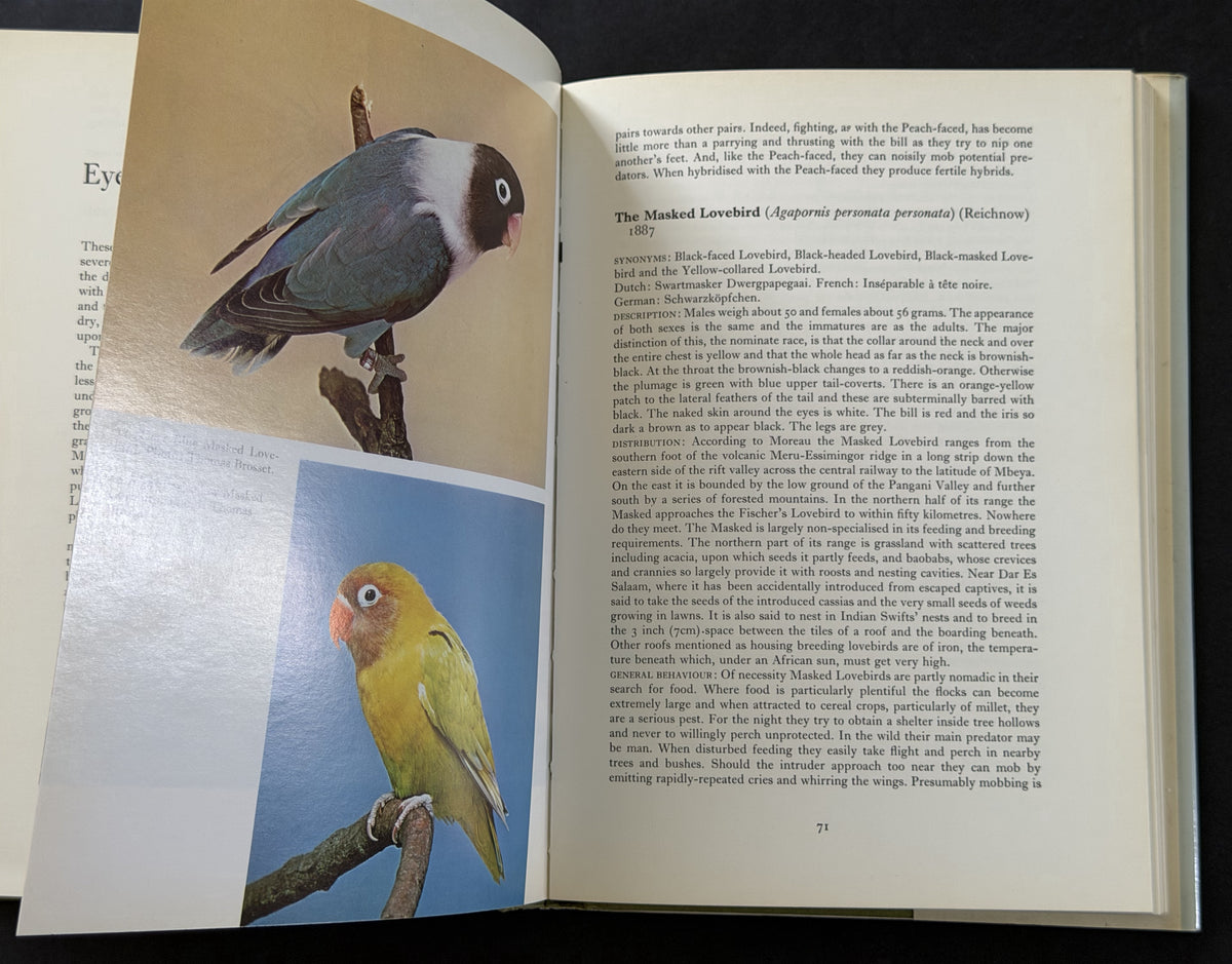 Lovebirds and Related Parrots by George A. Smith