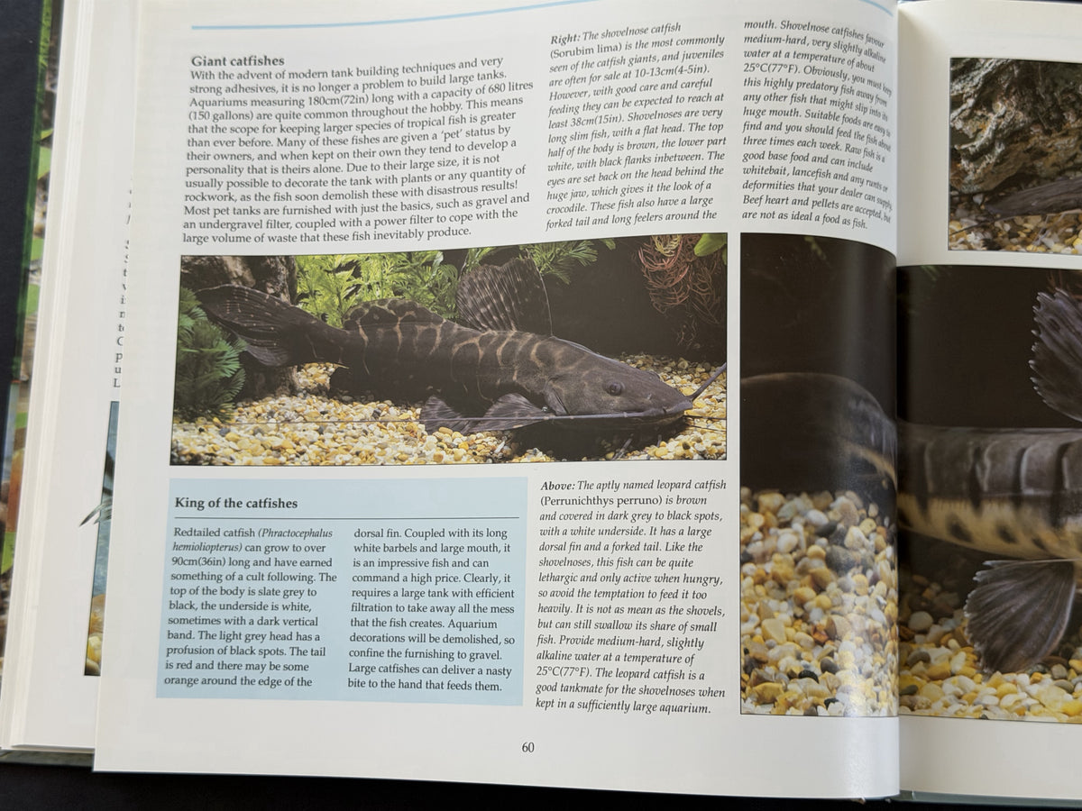 A Practical Guide to Tropical Aquarium Fish by Richard Crow & Dave Keele