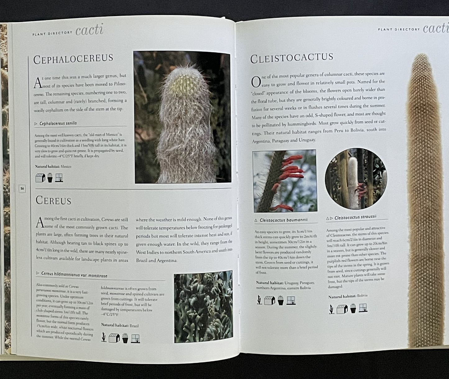 The Practical Illustrated Guide to Growing Cacti & Succulents