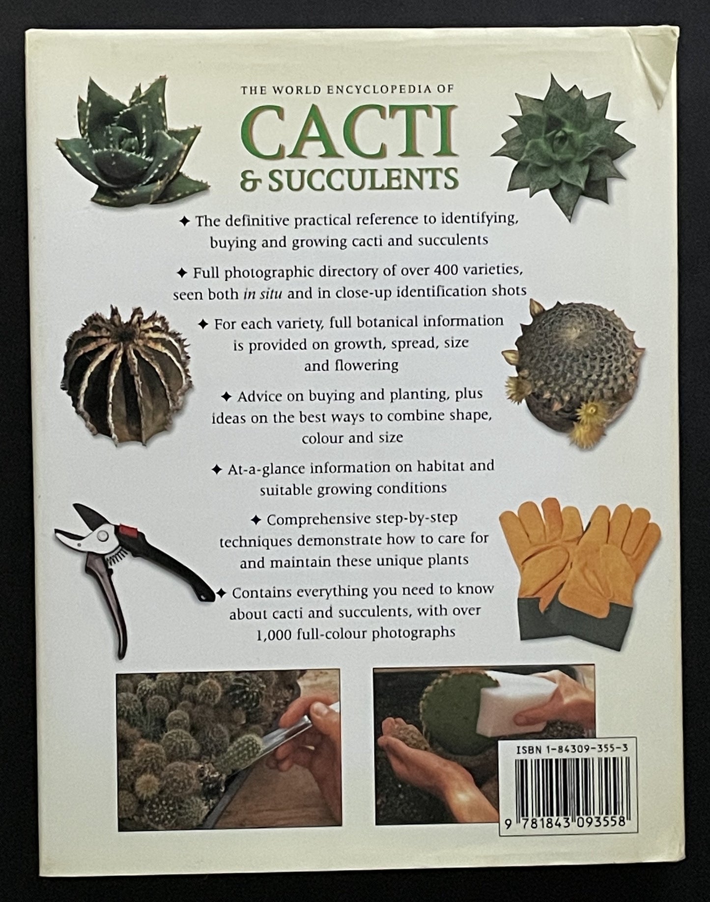 The Practical Illustrated Guide to Growing Cacti & Succulents
