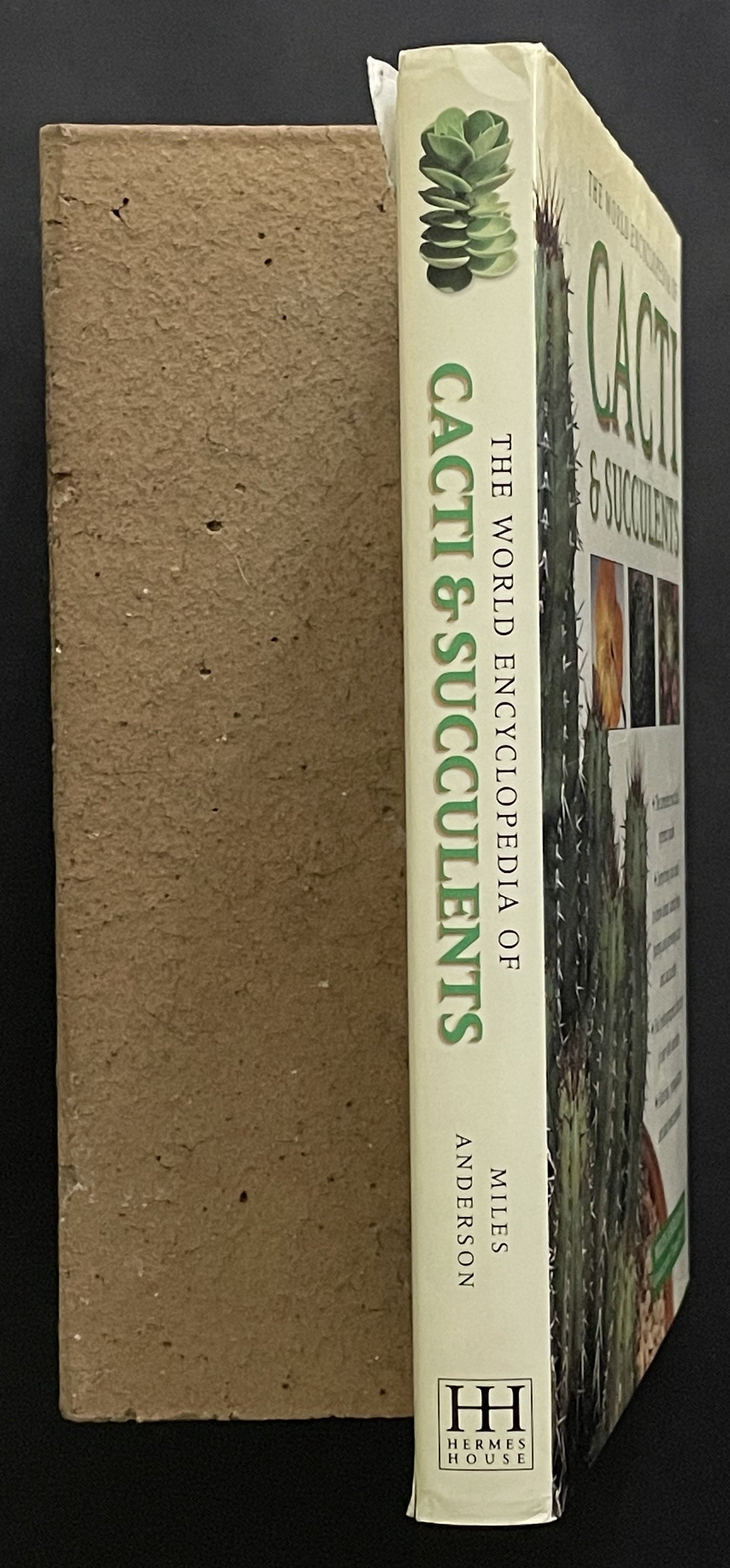 The Practical Illustrated Guide to Growing Cacti & Succulents