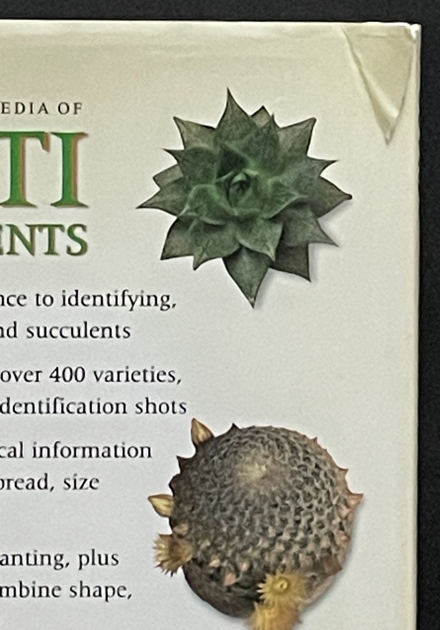 The Practical Illustrated Guide to Growing Cacti & Succulents