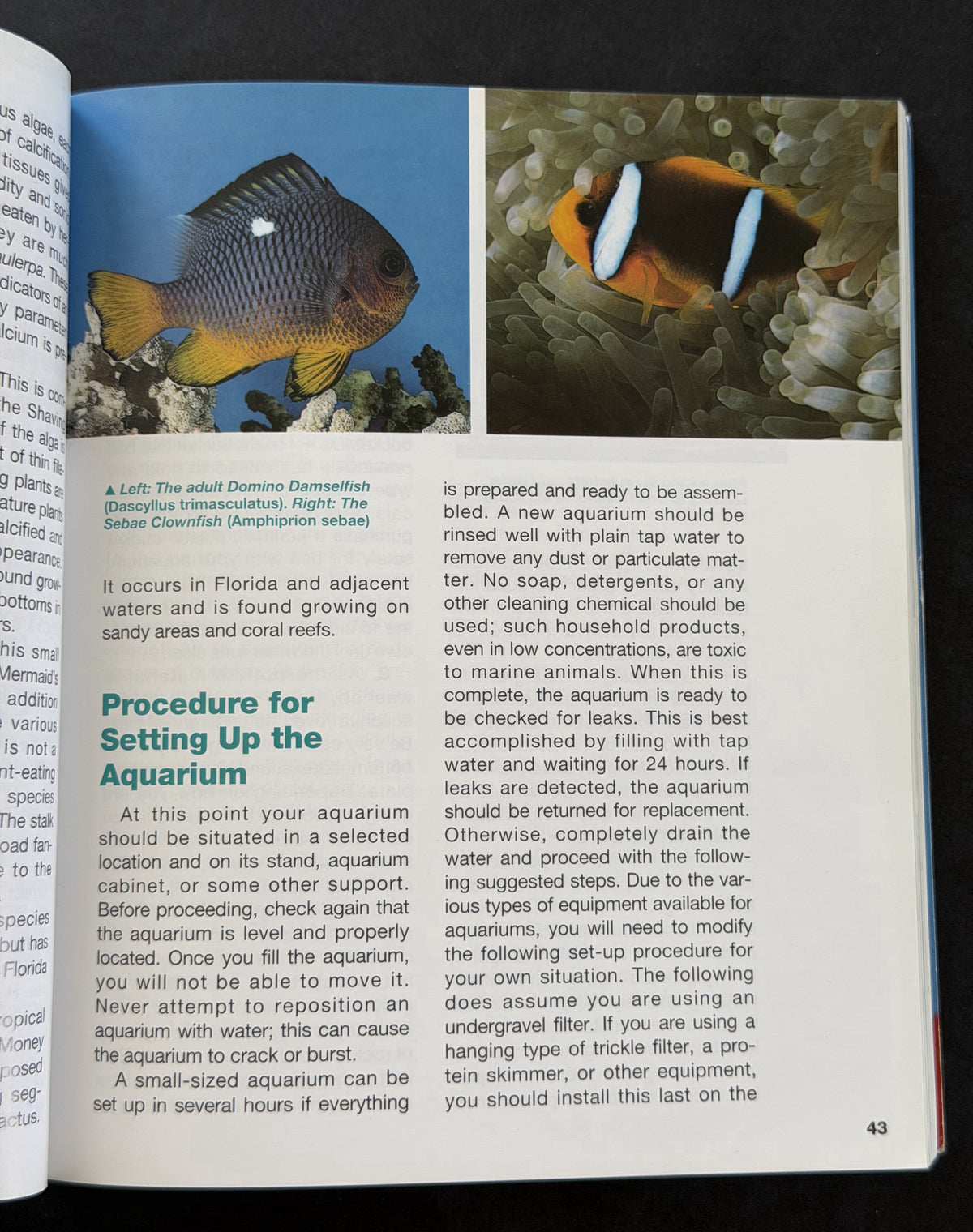 Saltwater Aquarium Handbook, The by George Blasiola