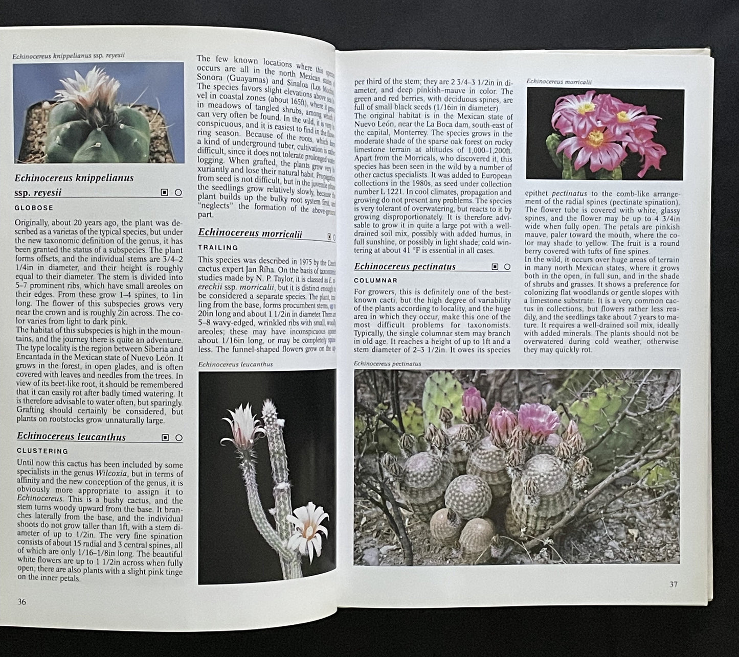 The Complete Encyclopedia of Cacti by Libor Kunte, Rudolf Subik