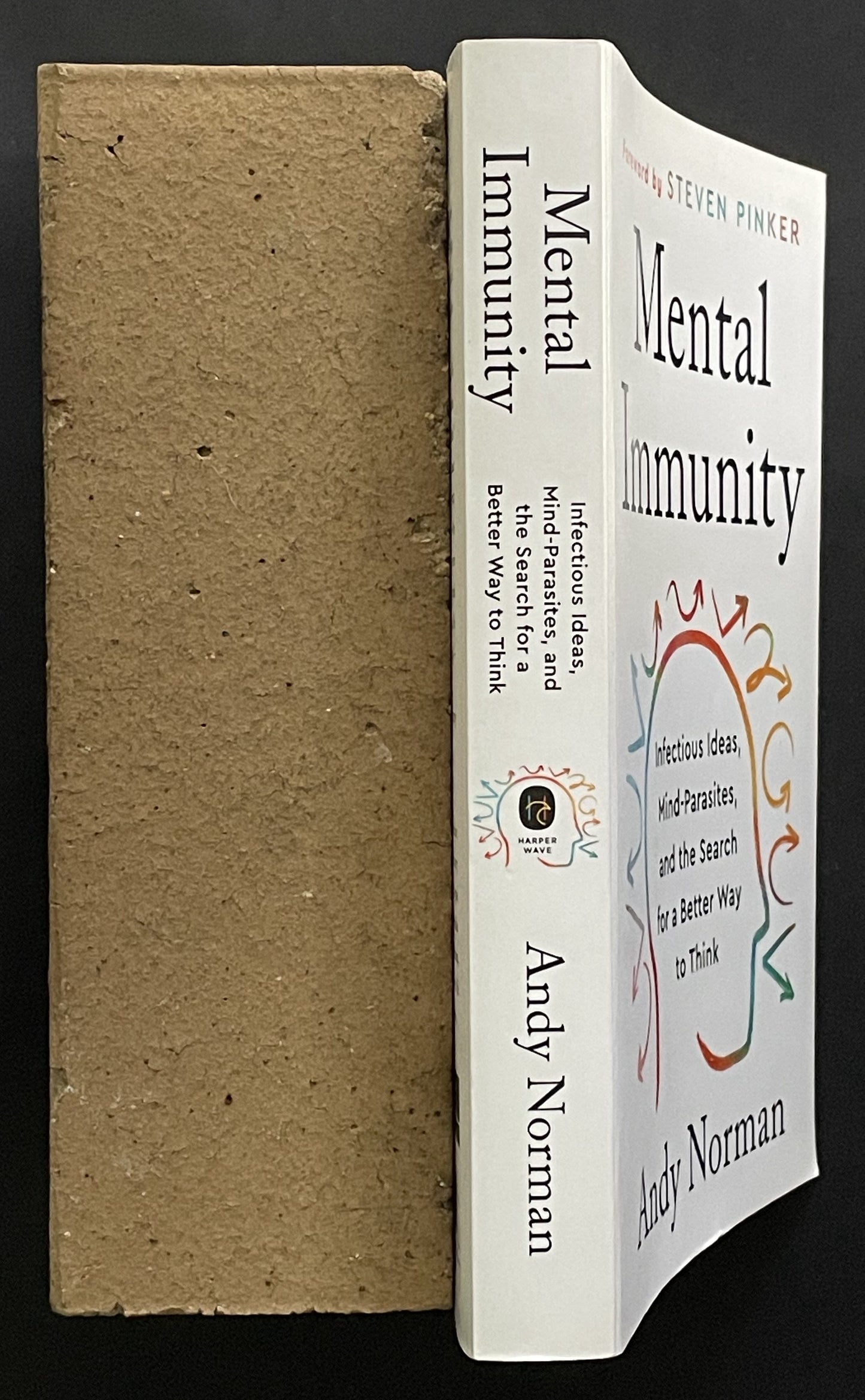 Mental Immunity by Andy Norman