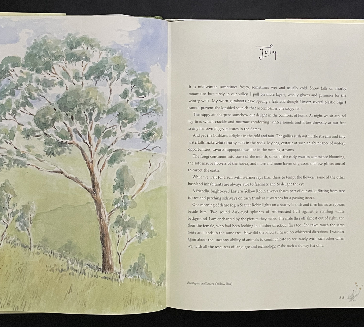 Bush Seasons - Australian Nature, Woodland Diary, Flora and Fauna, Victoria