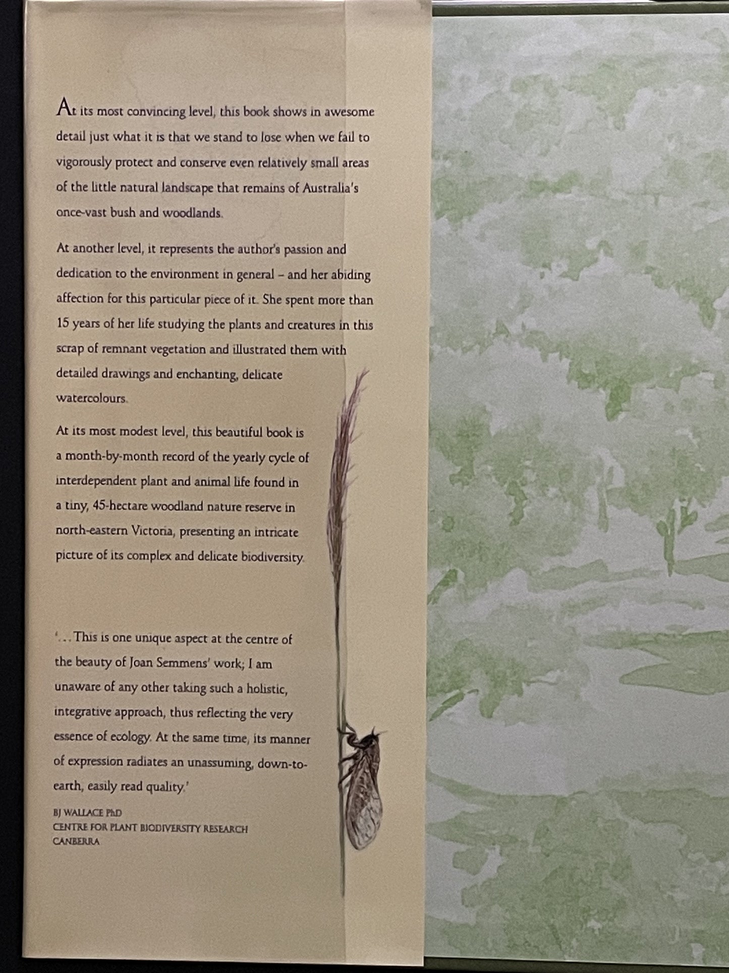 Bush Seasons - Australian Nature, Woodland Diary, Flora and Fauna, Victoria