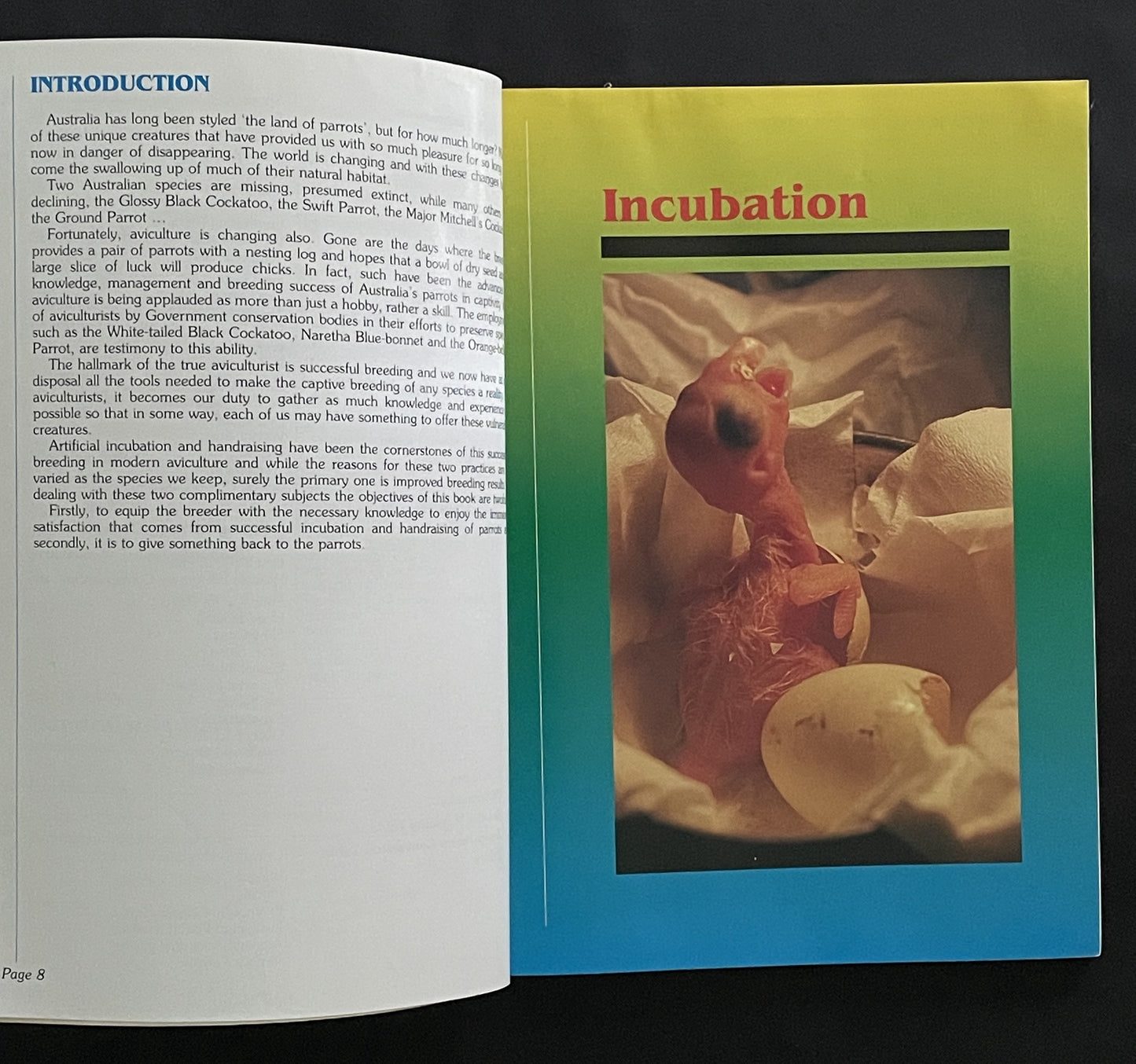 A Guide to Incubation & Handraising Parrots by Phil Digney