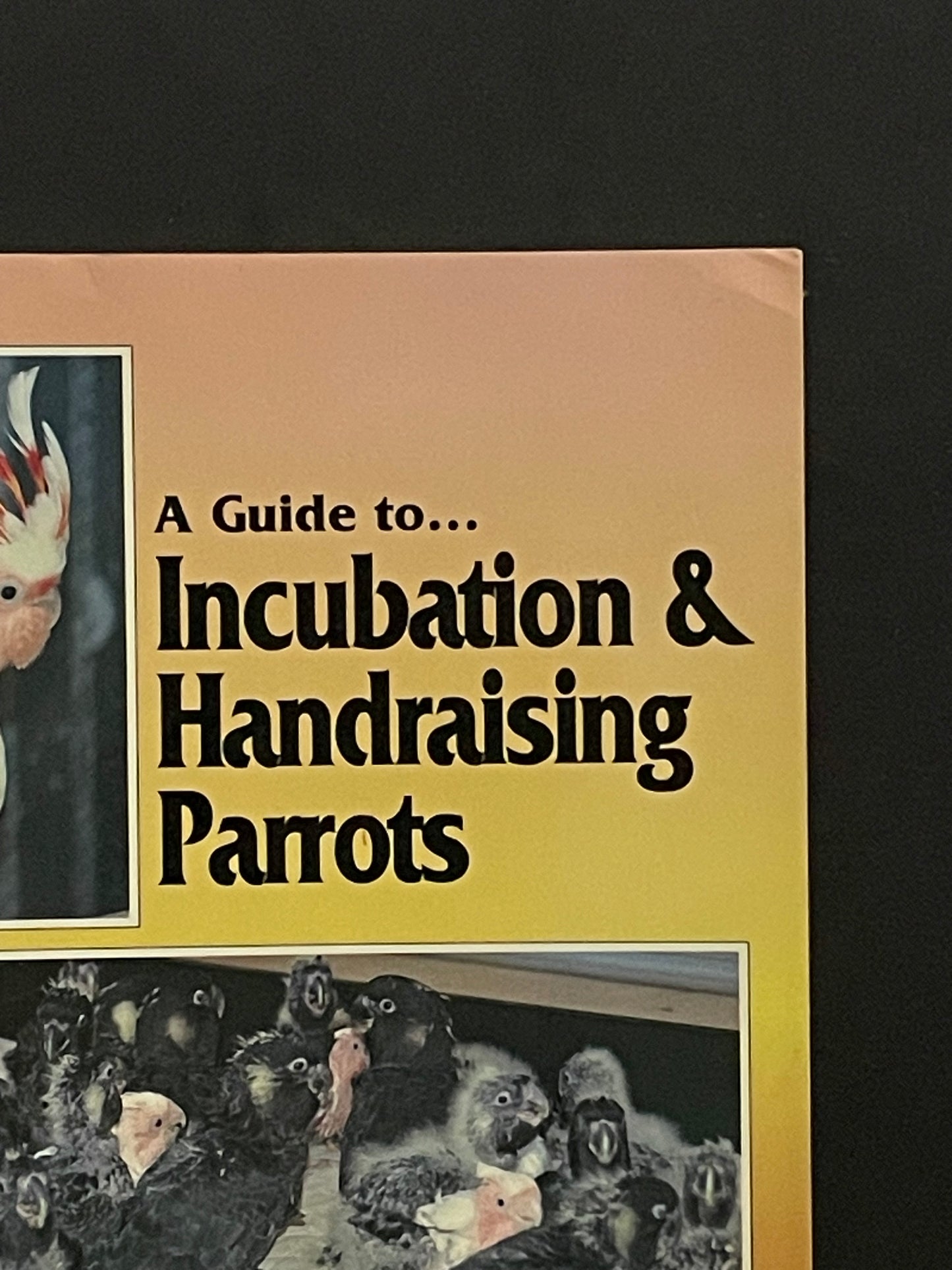 A Guide to Incubation & Handraising Parrots by Phil Digney