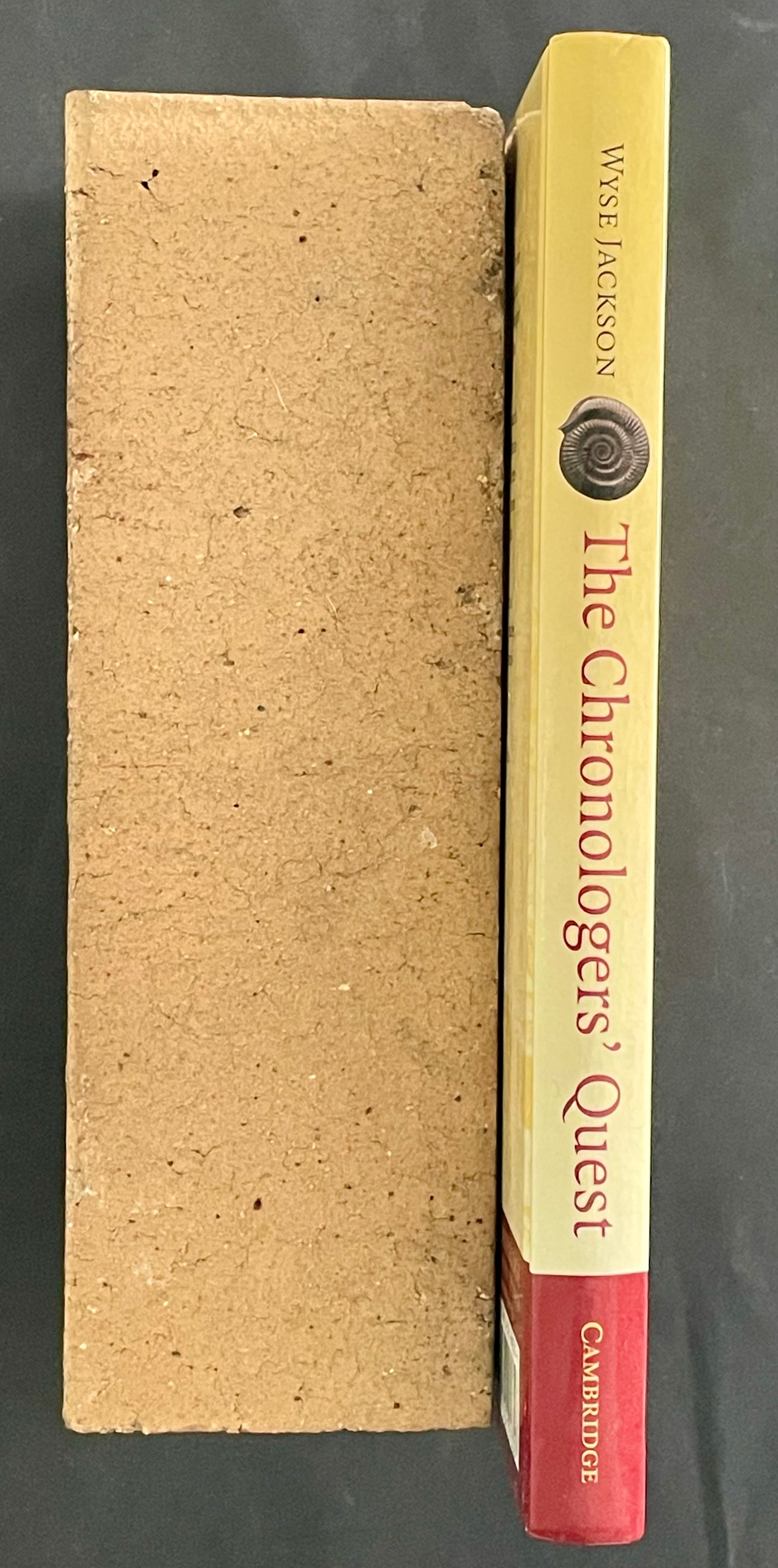 The Chronologers' Quest by Patrick Wyse Jackson