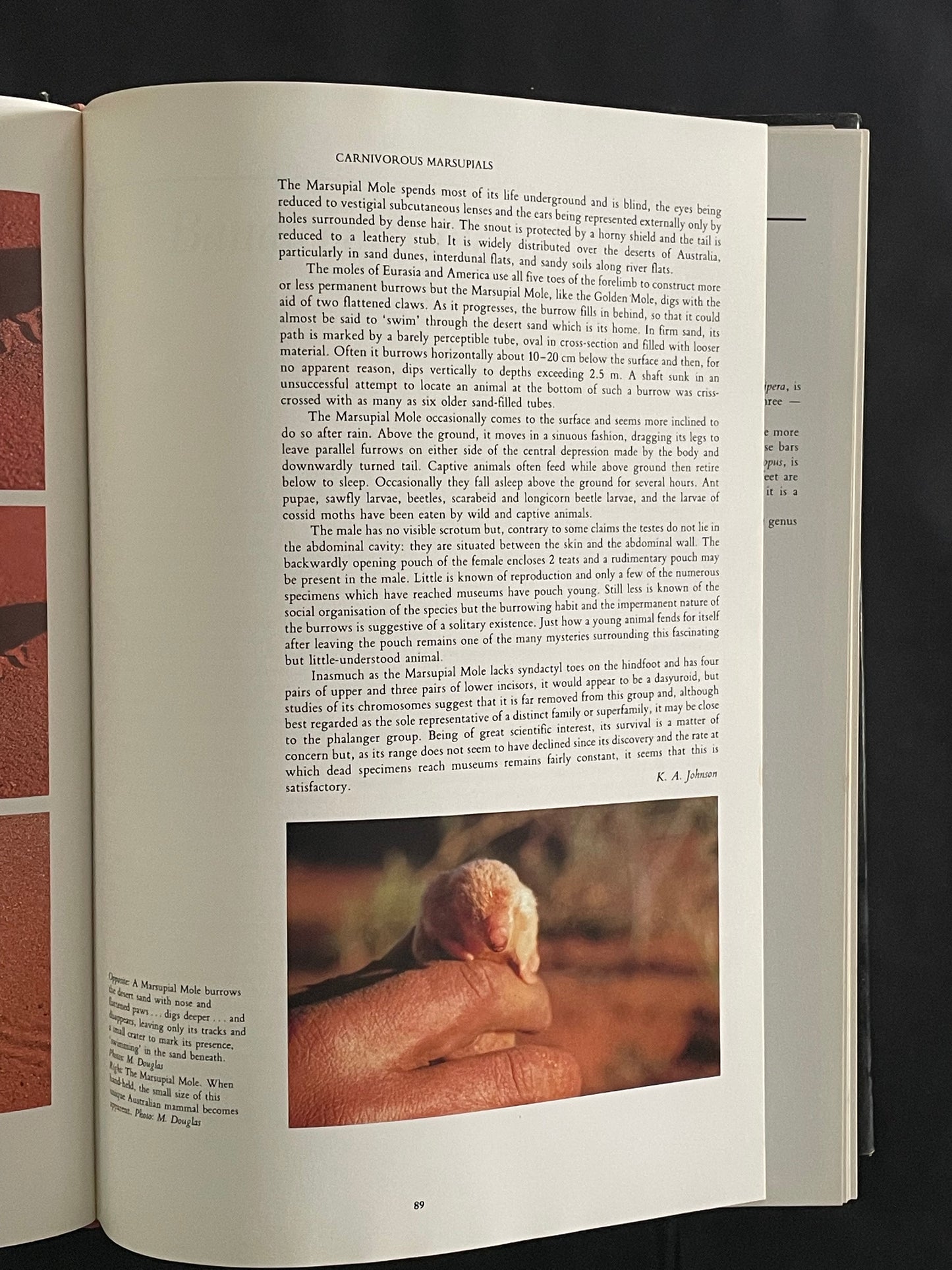 Complete Book of Australian Mammals by Ronald Strahan