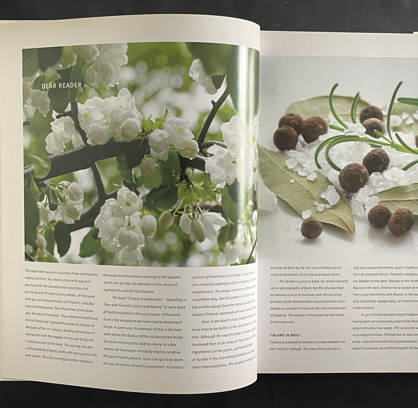 Simply Scandinavian: Travelling in Time with Finnish Cuisine and Nature by Tero Kallio and Kimmo Saira