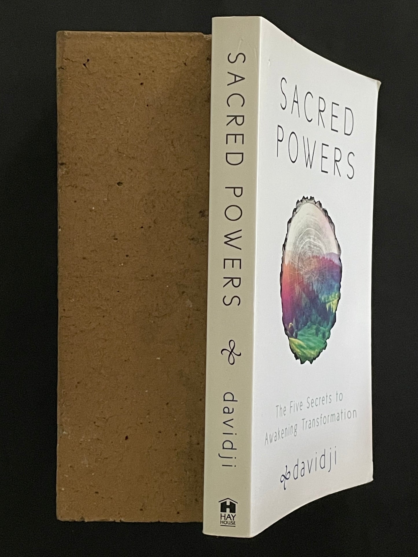 Sacred Powers by Davidji