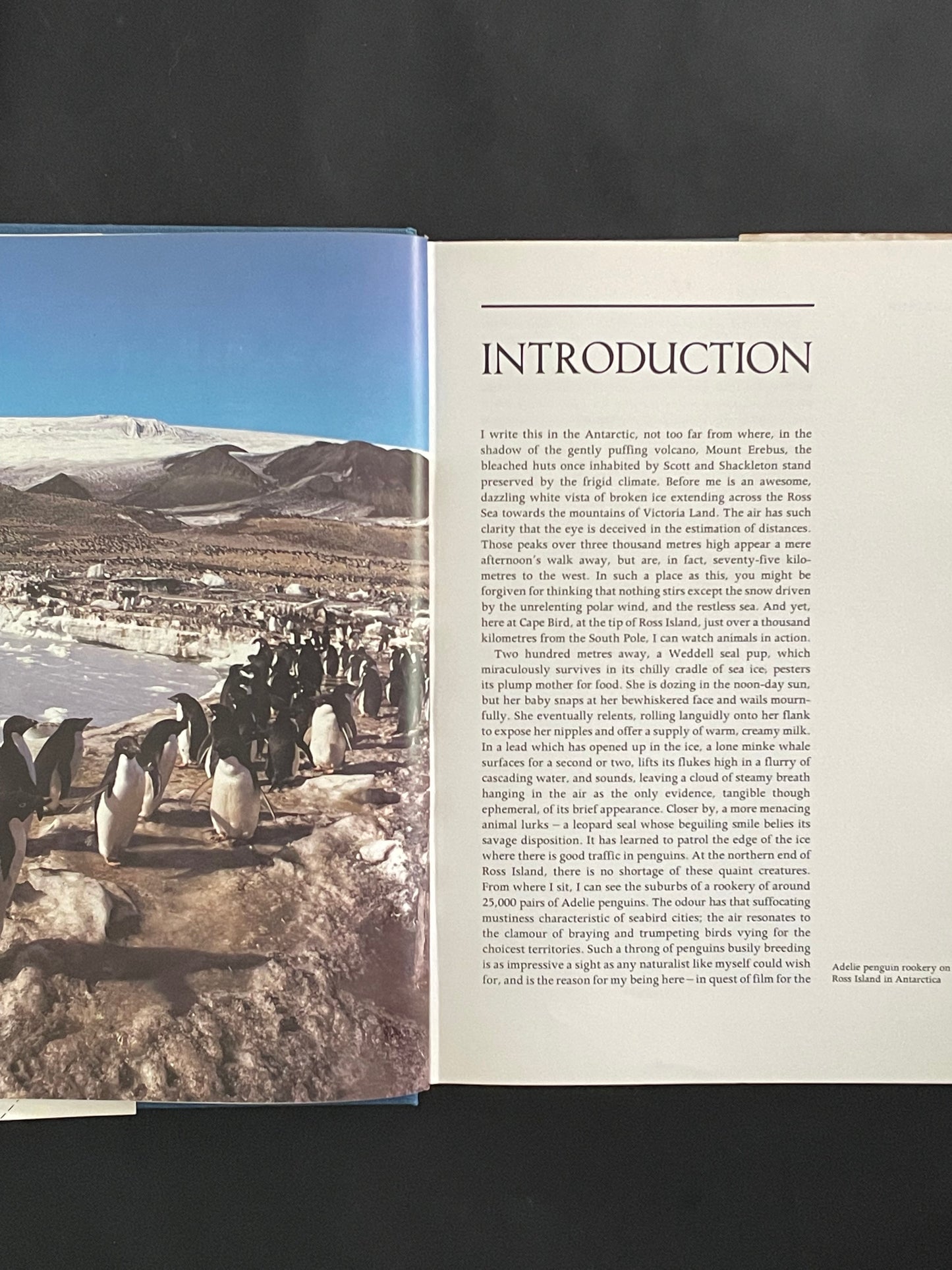 The Discovery of Animal Behaviour by John Sparks