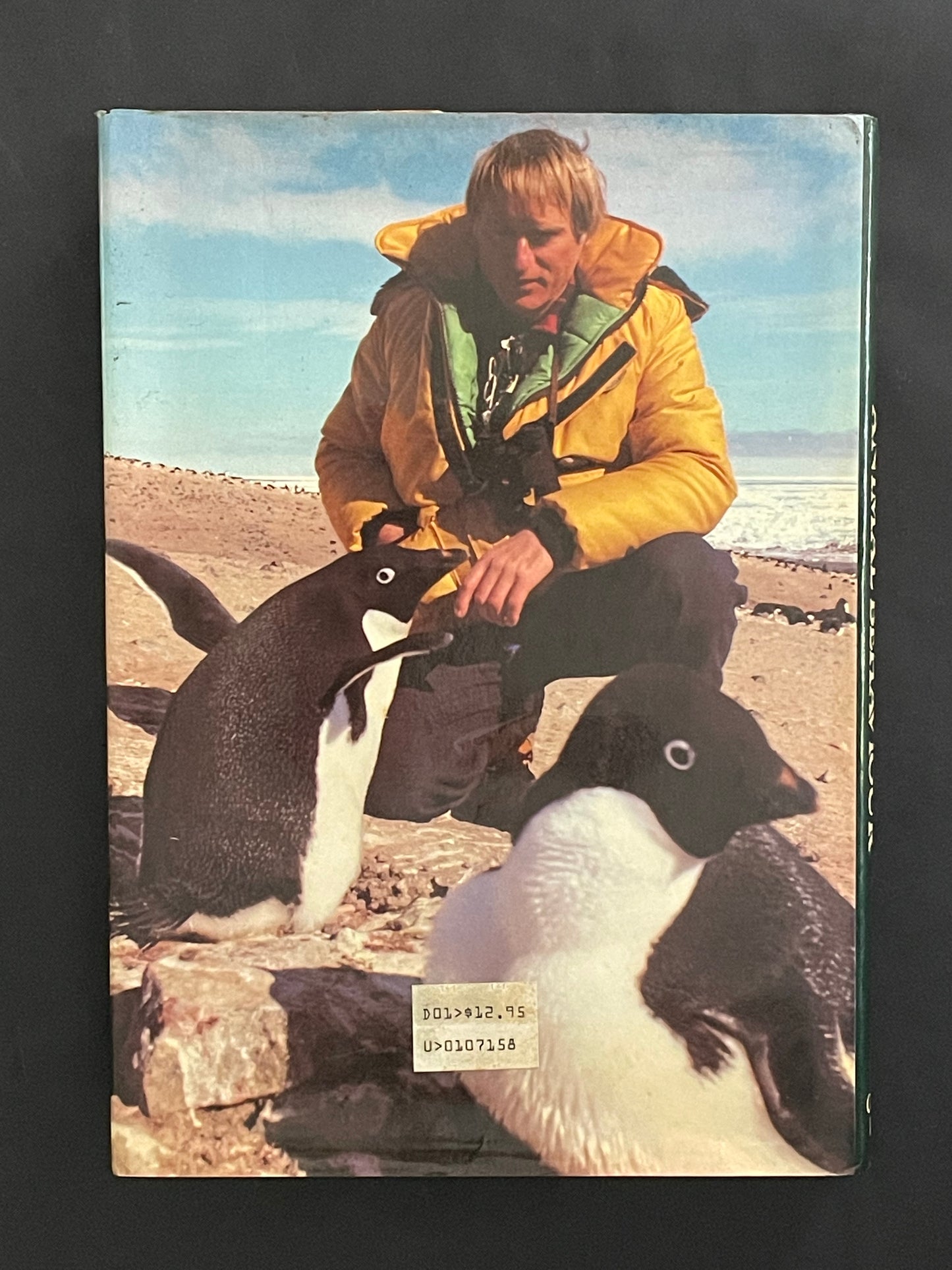 The Discovery of Animal Behaviour by John Sparks