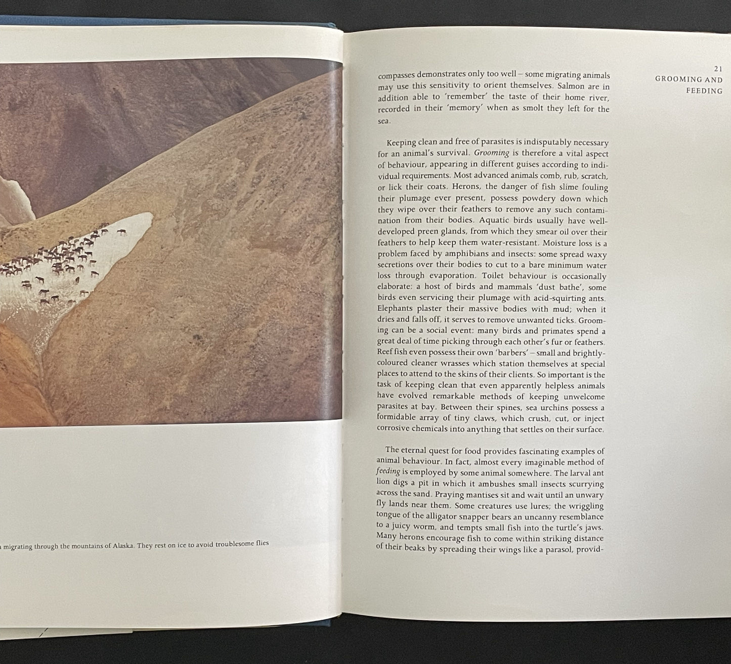 The Discovery of Animal Behaviour by John Sparks