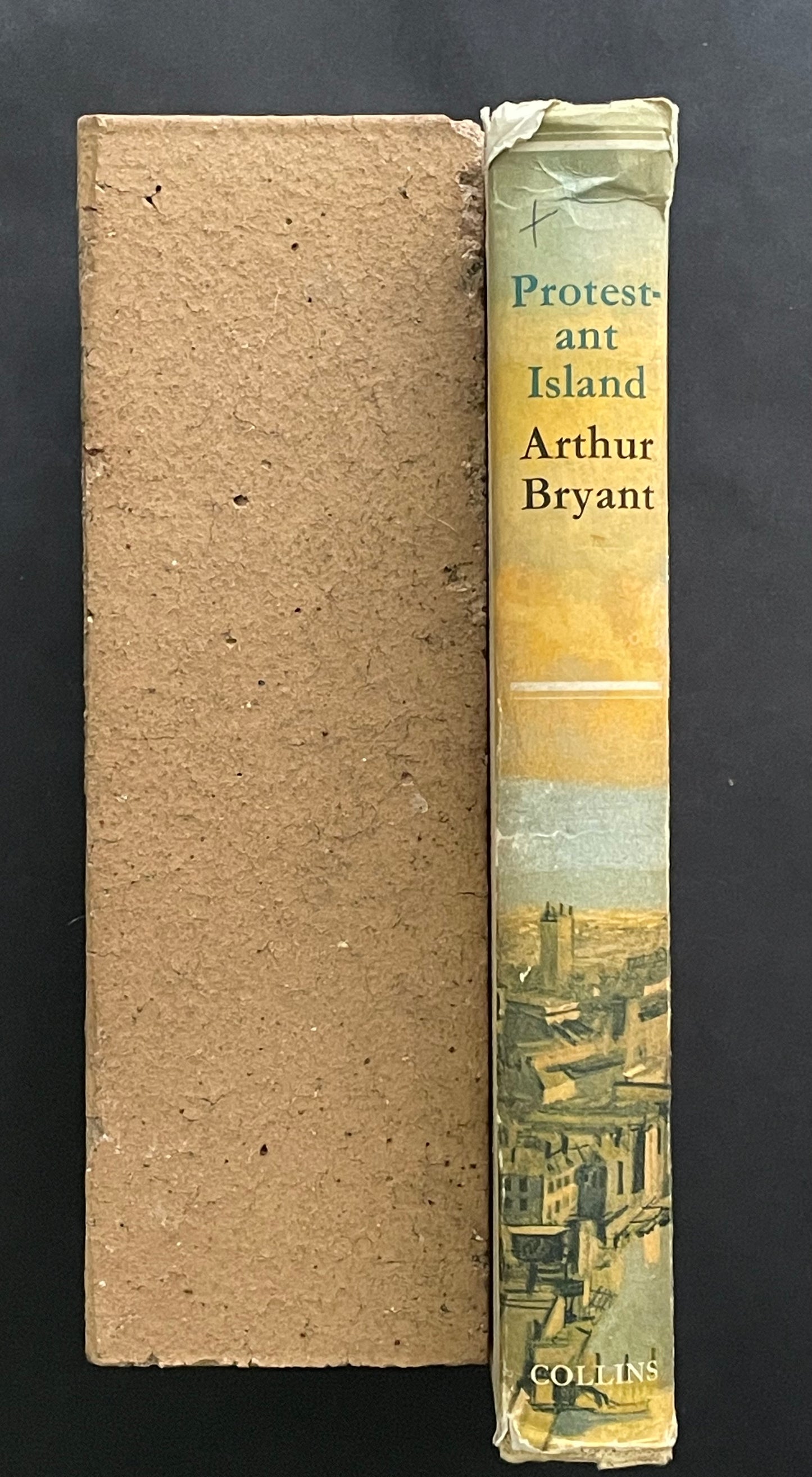 Protestant Island by Arthur Bryant