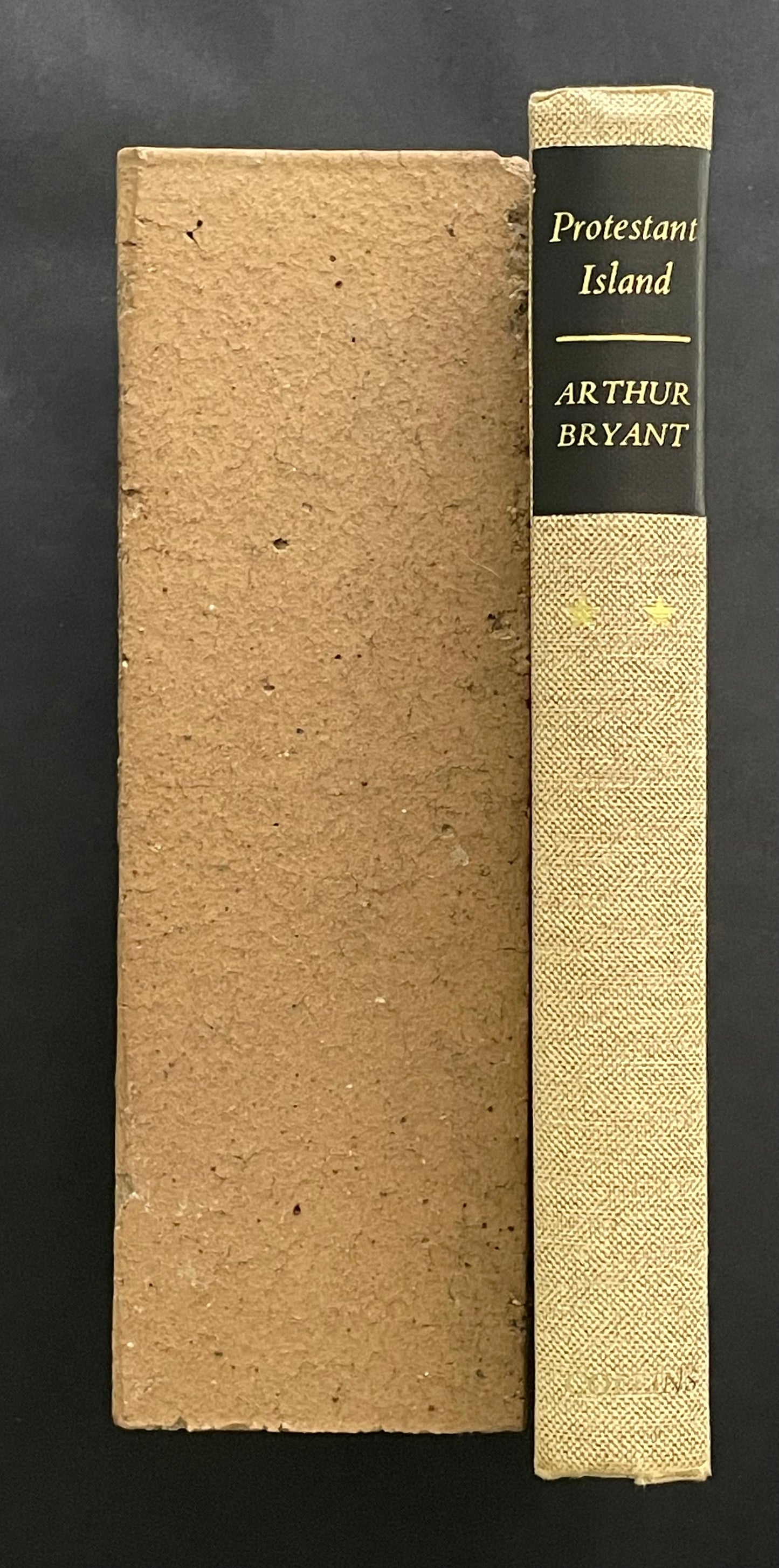 Protestant Island by Arthur Bryant