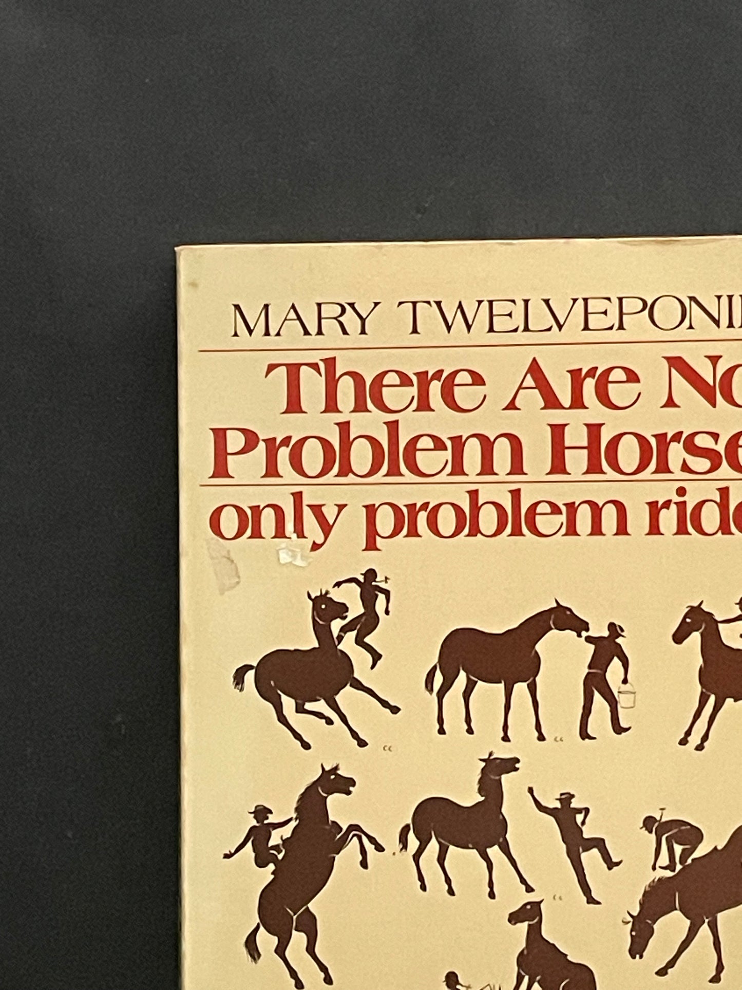 There Are No Problem Horses, Only Problem Riders by Mary Twelveponies