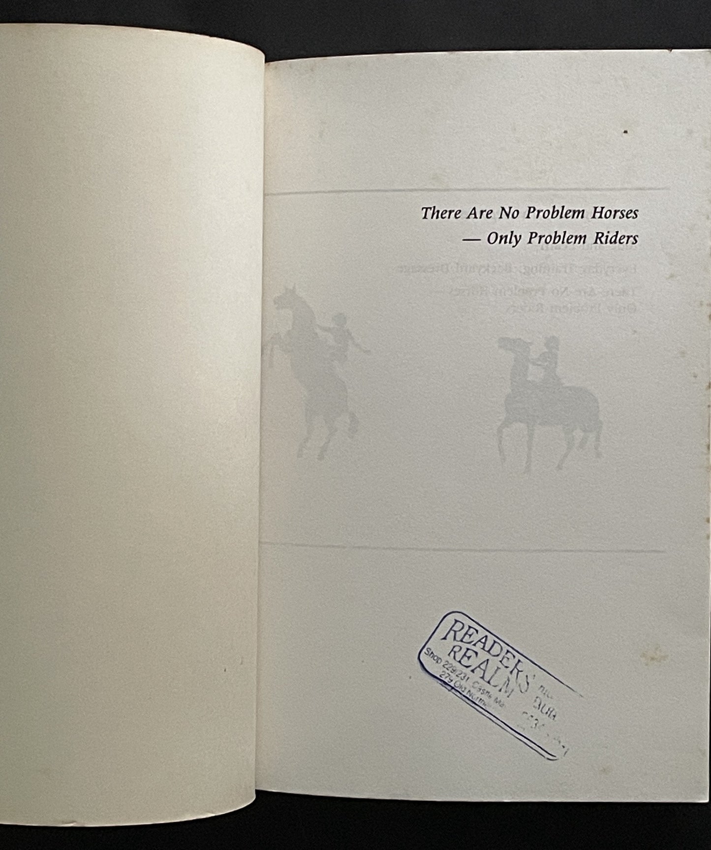 There Are No Problem Horses, Only Problem Riders by Mary Twelveponies