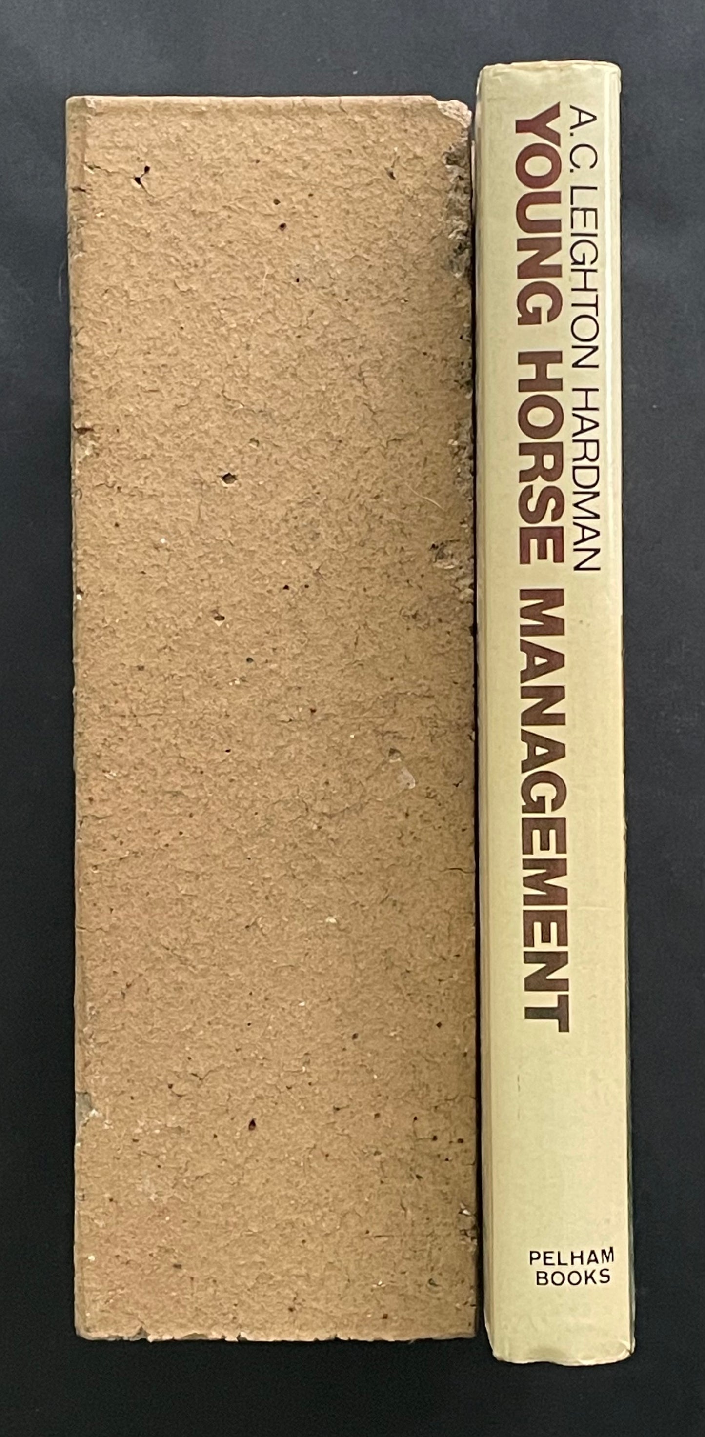 Young Horse Management by Ann C. Leighton Hardman