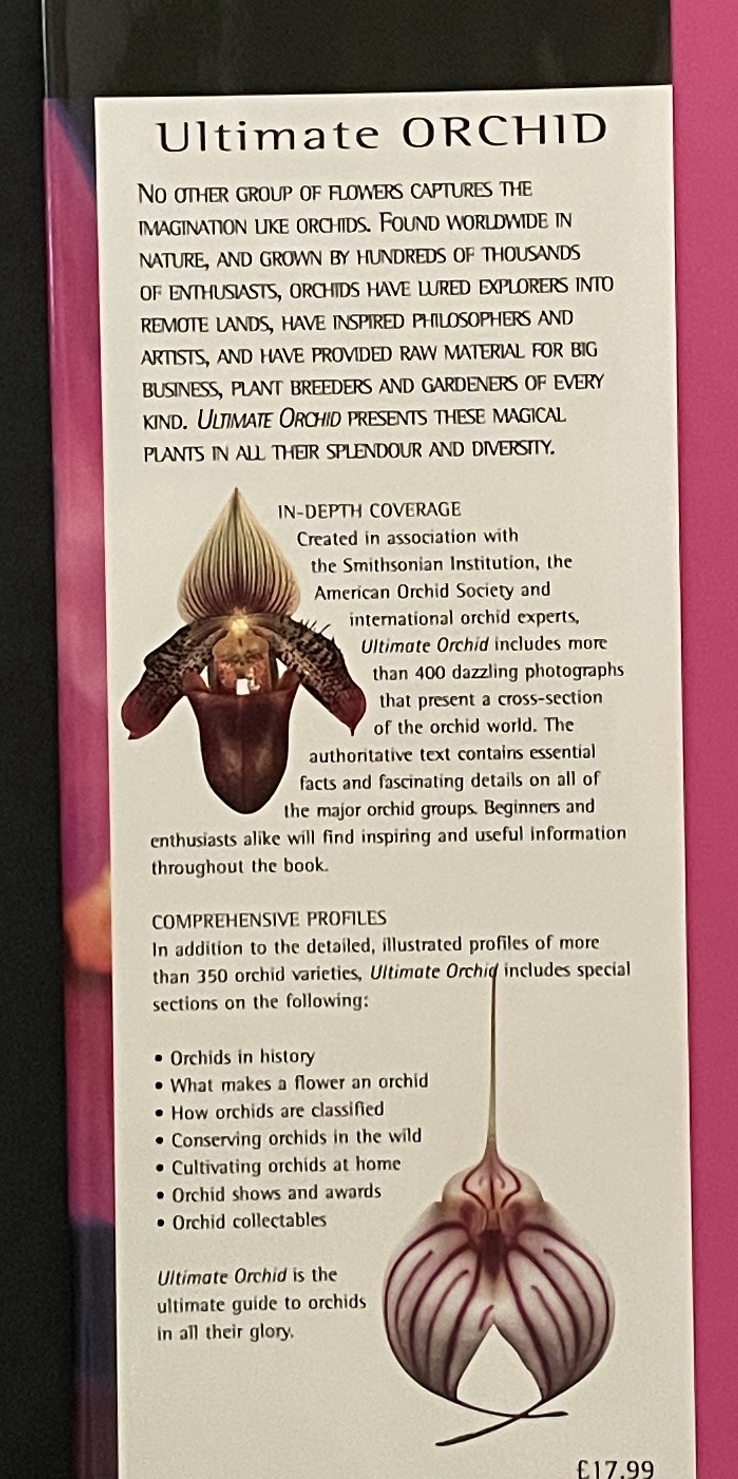 Ultimate Orchid by Thomas John Sheehan