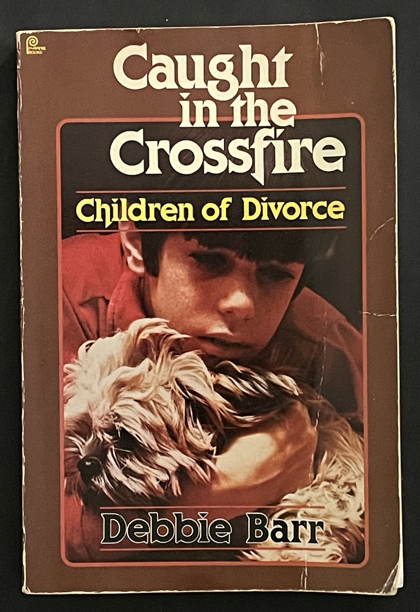 Caught in the Crossfire by Debbie Barr