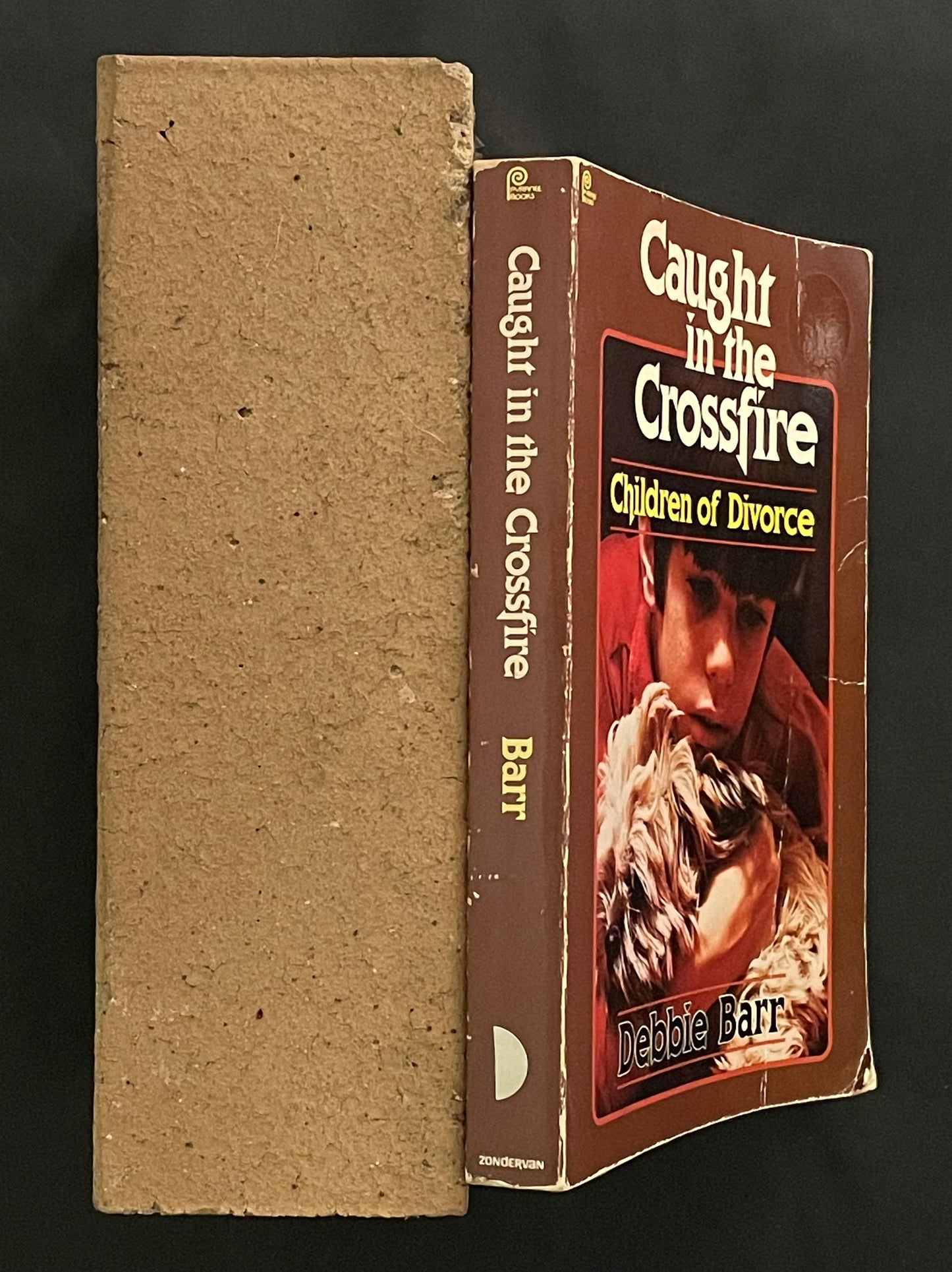 Caught in the Crossfire by Debbie Barr