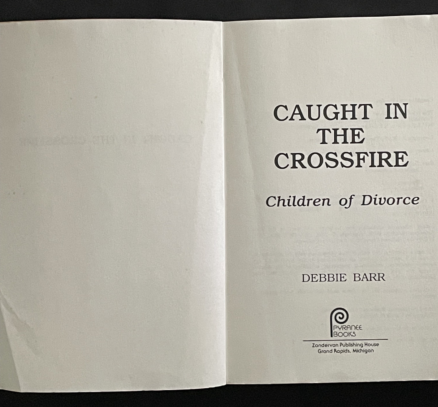 Caught in the Crossfire by Debbie Barr