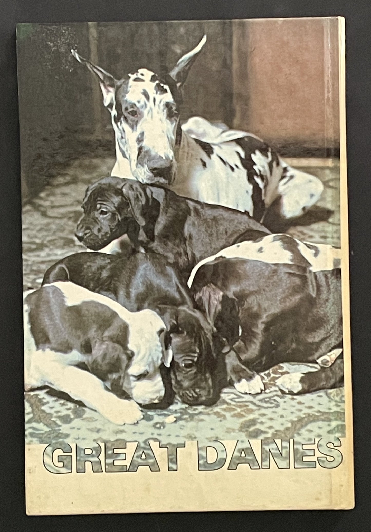 Great Danes by Diane McCarty