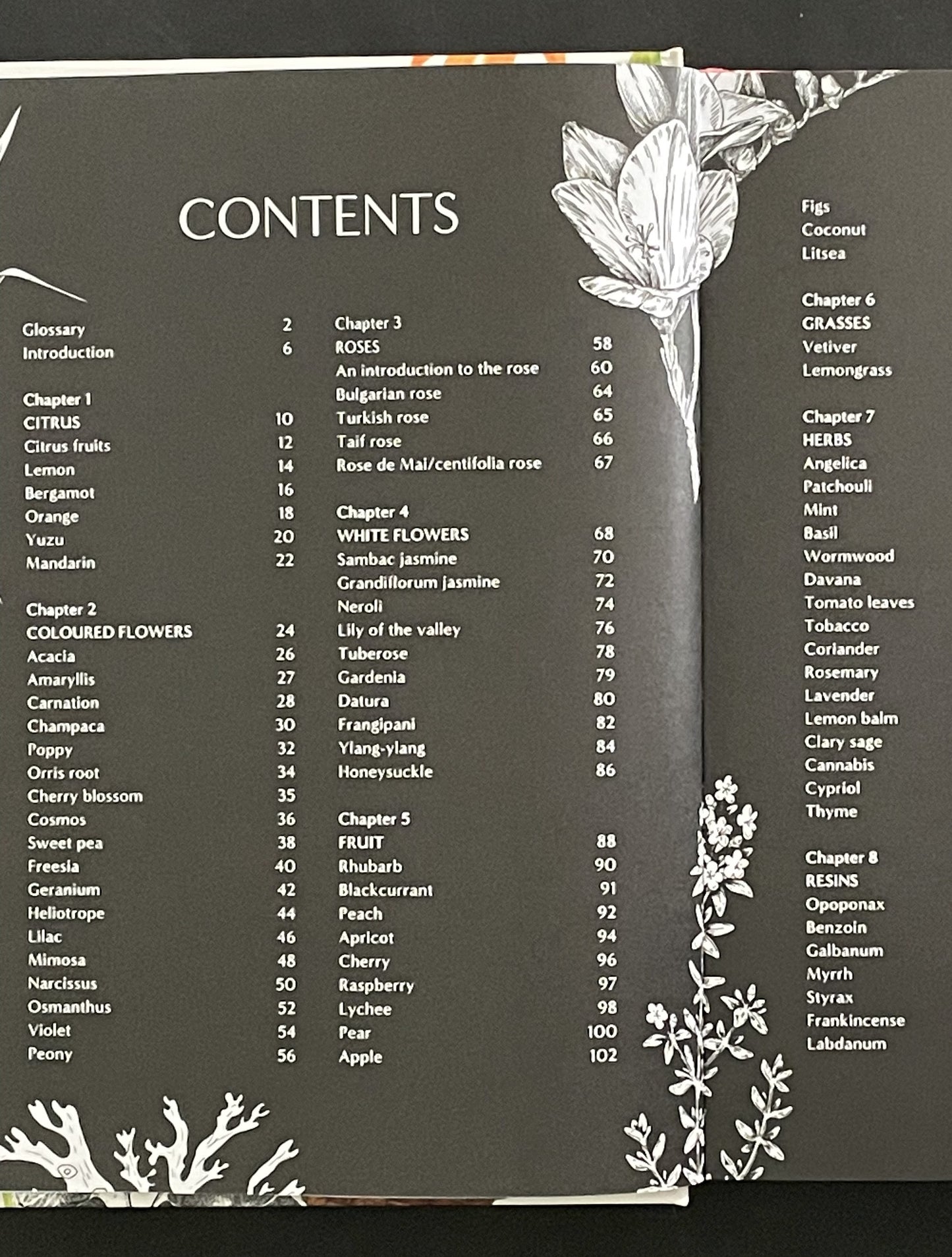 From Plant to Perfume by Josh Carter & Samuel Gearing