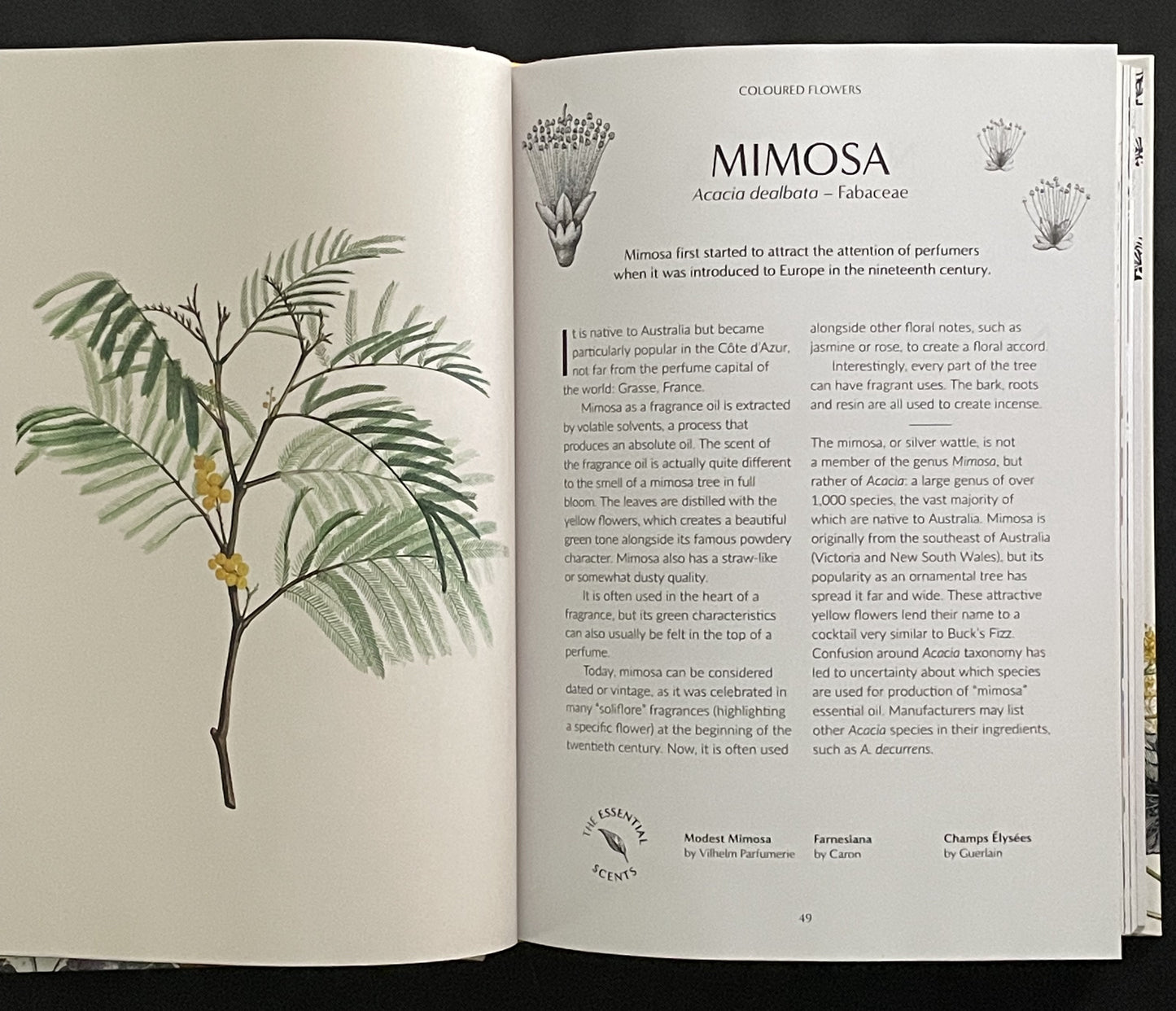 From Plant to Perfume by Josh Carter & Samuel Gearing