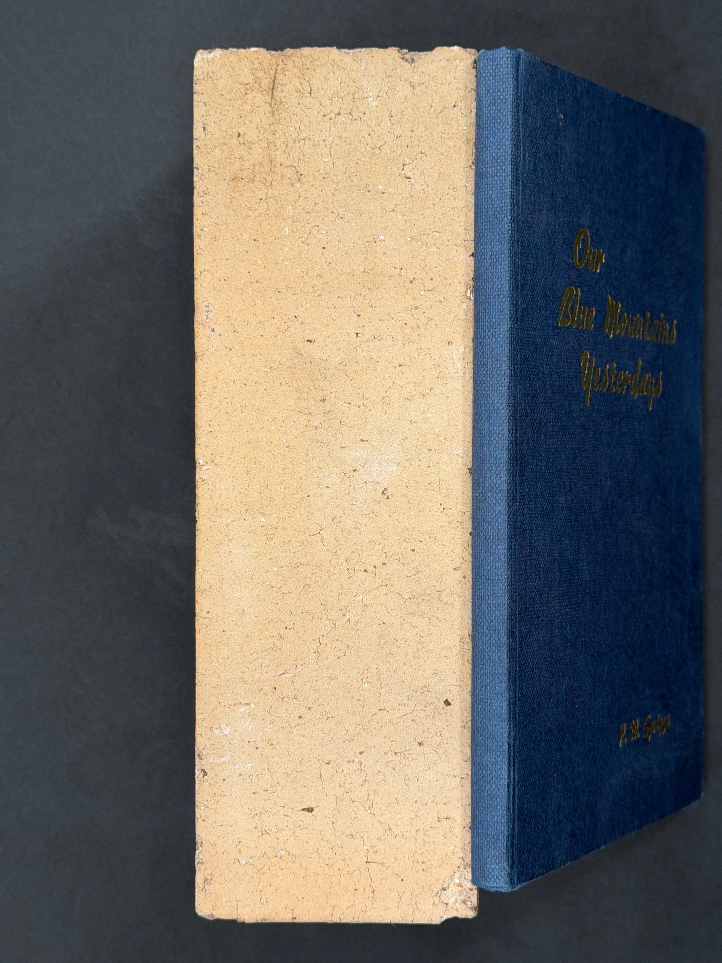 Our Blue Mountains Yesterdays by P. W. Spriggs