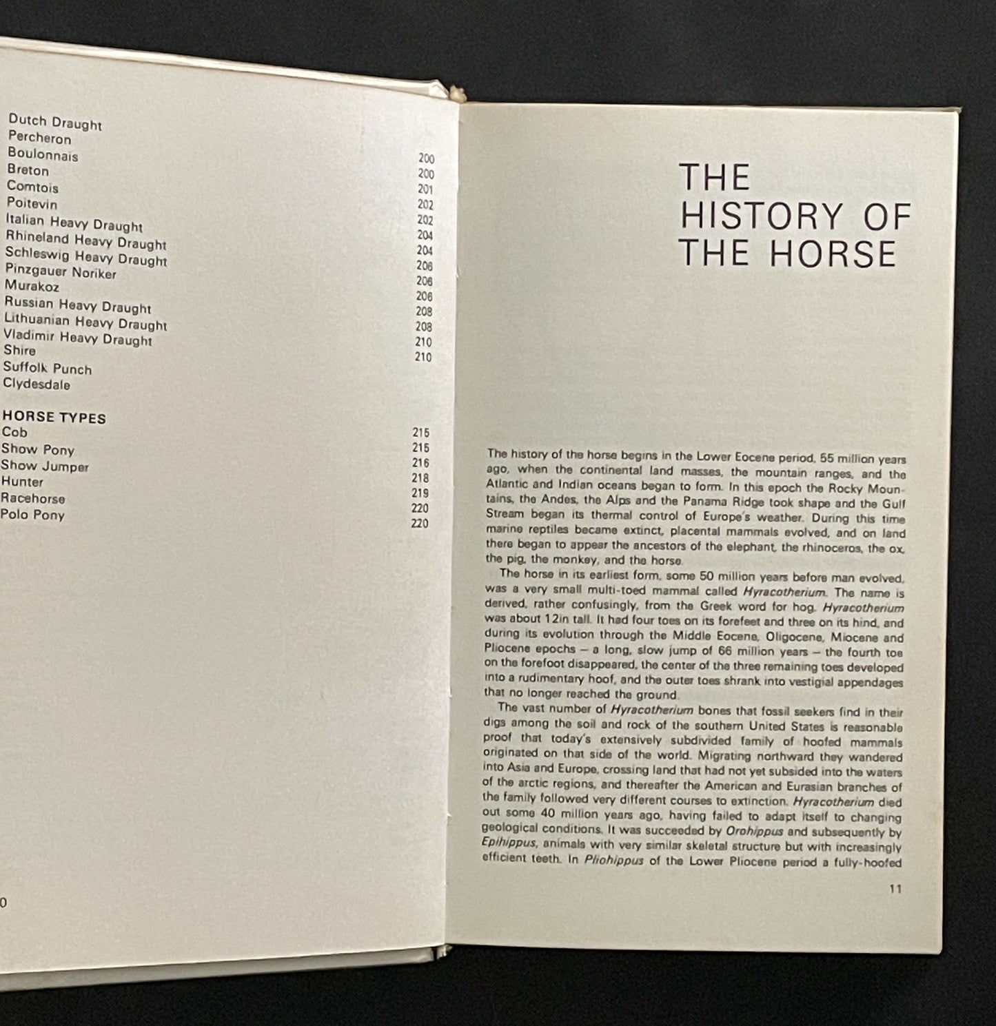 Guide to the Horses of the World by Caroline Silver et al.