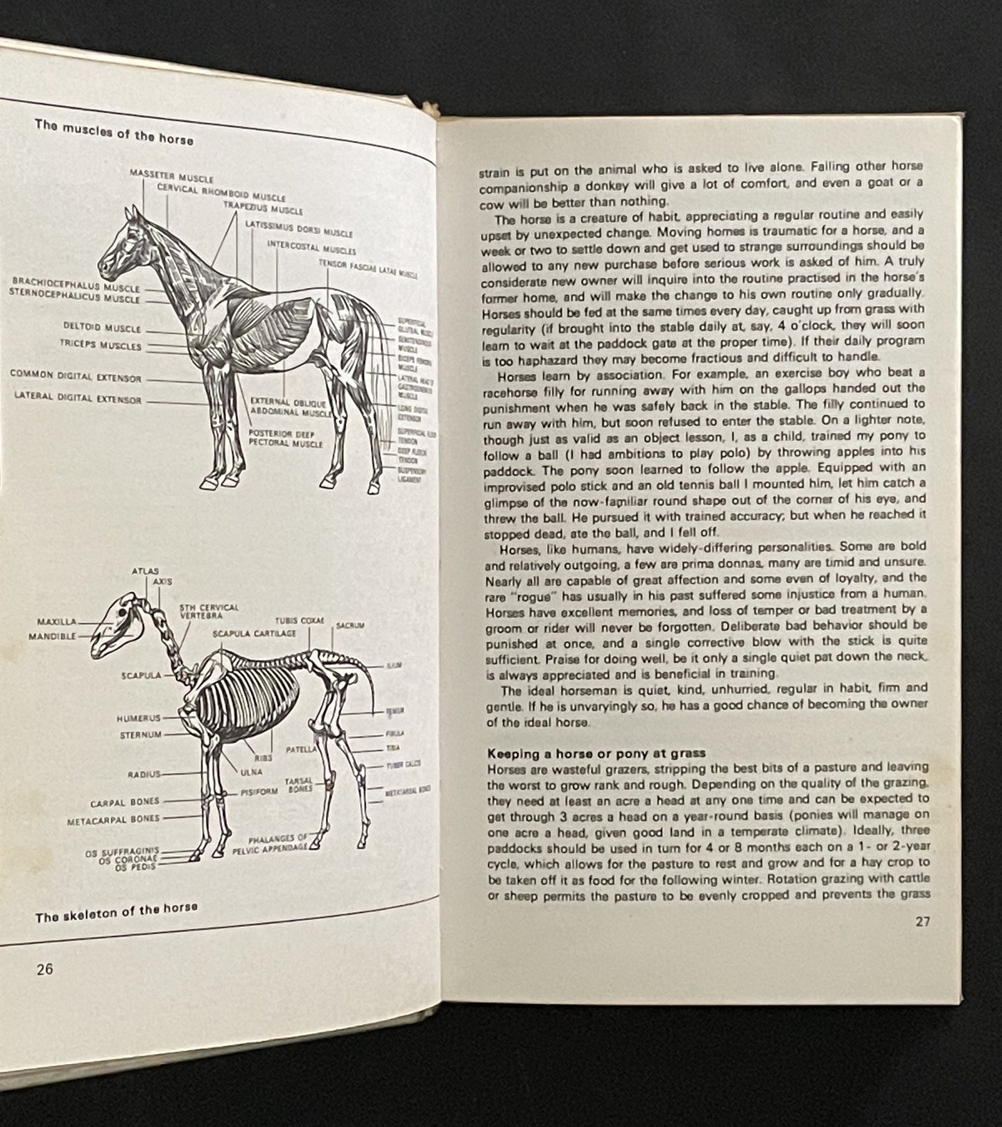 Guide to the Horses of the World by Caroline Silver et al.