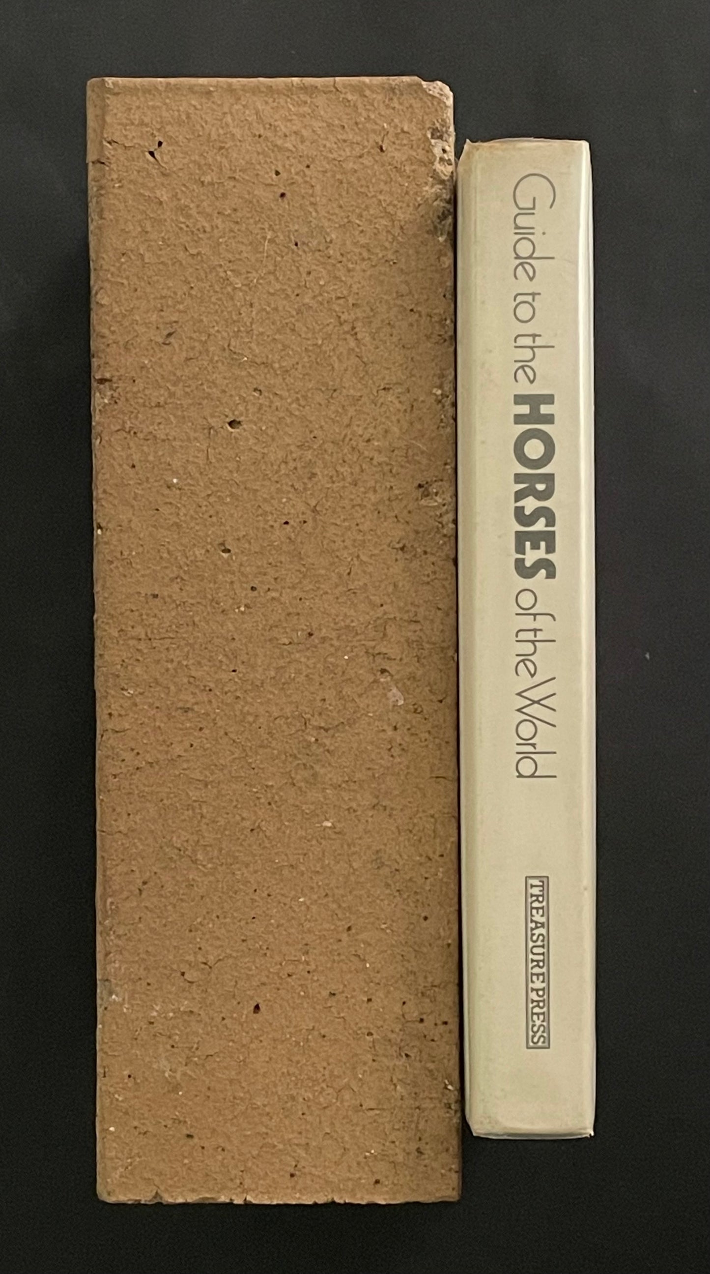 Guide to the Horses of the World by Caroline Silver et al.